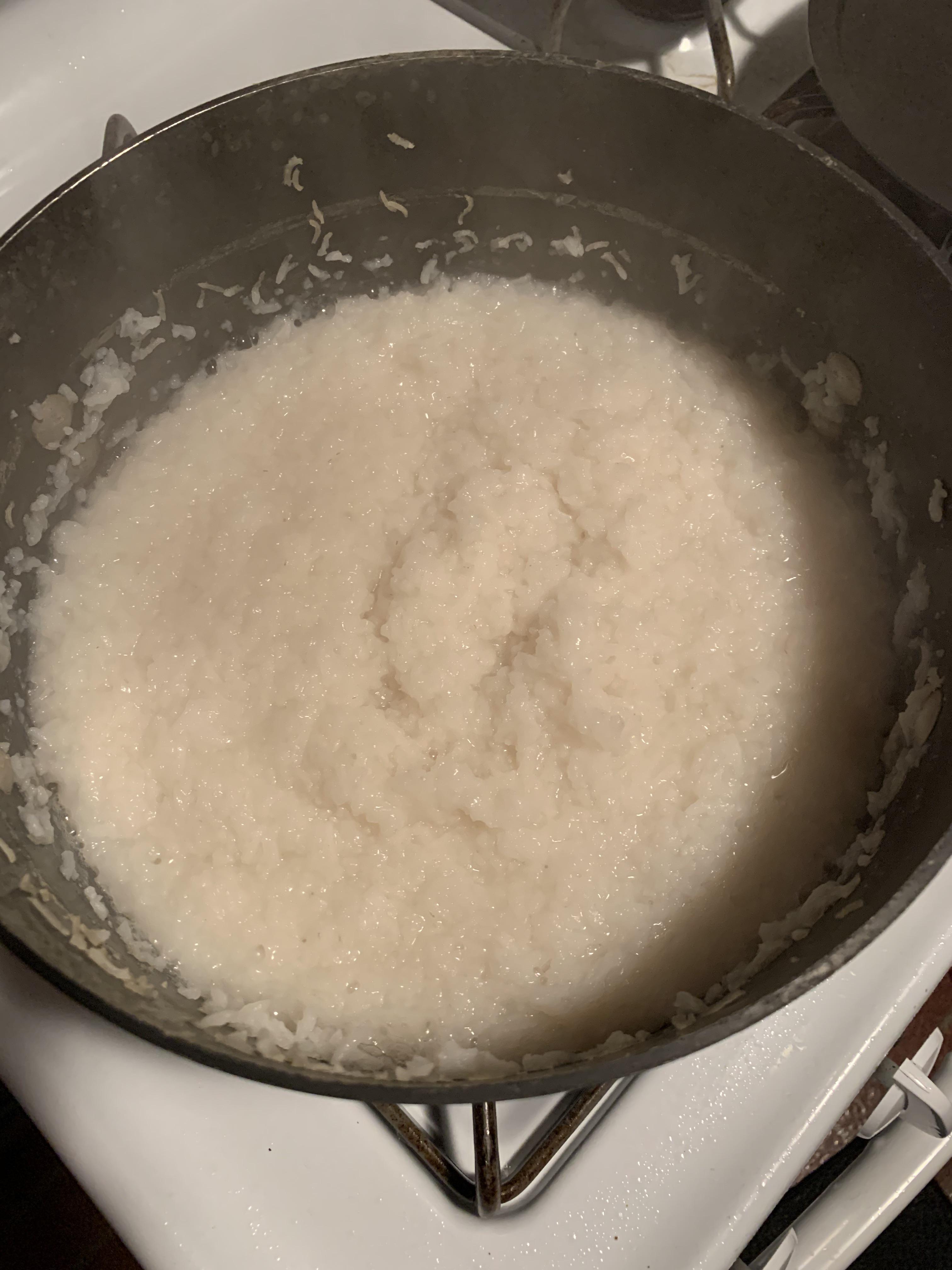 We put too much water in rice r/shittyfoodporn