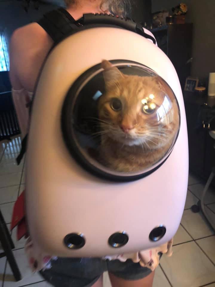 I can carry him with me wherever I go thanks to my new