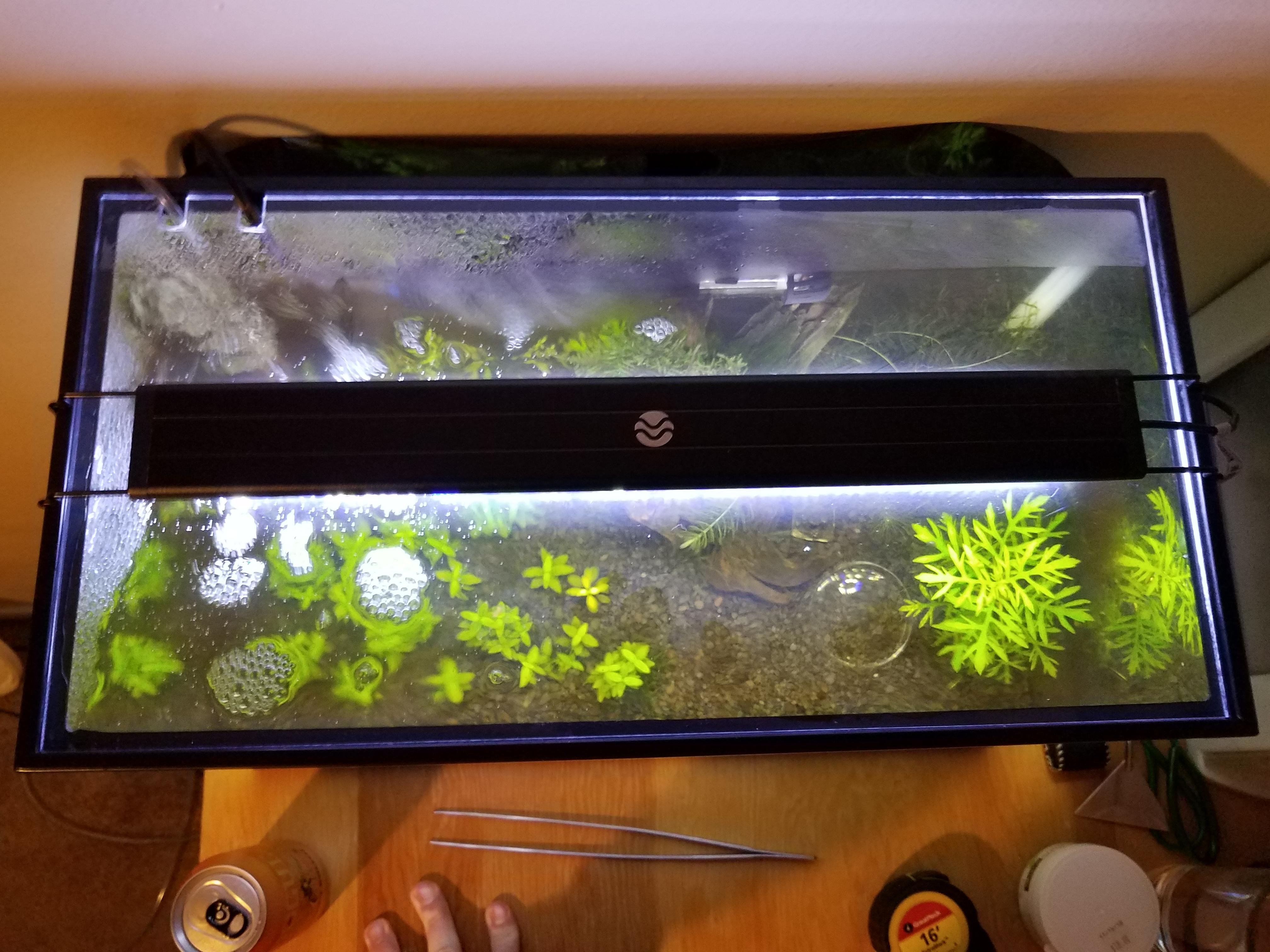 3/16 cast Acrylic lid cut to size, less than 10 in material. Love the