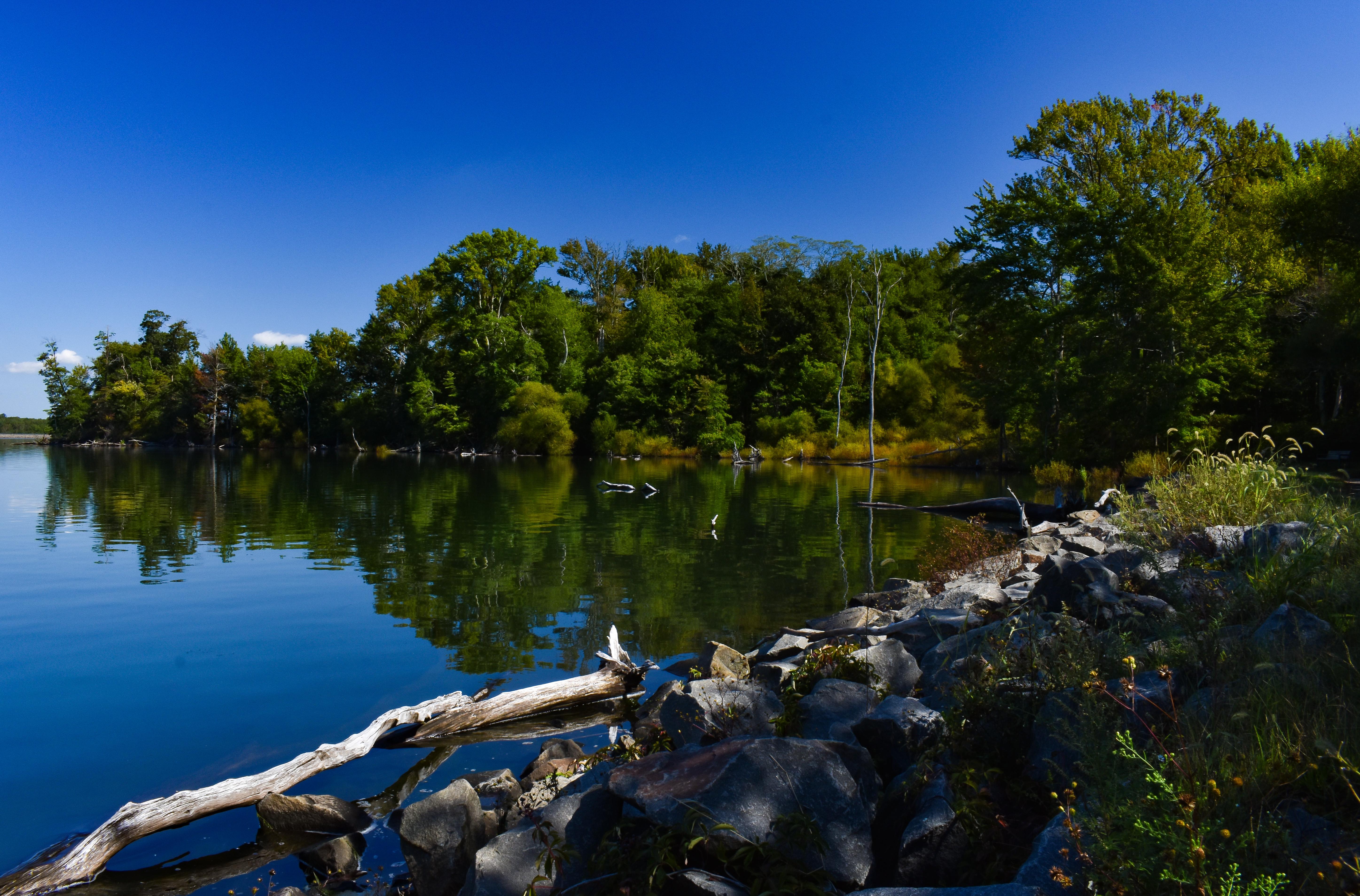 The beautiful Manasquan Reservoir in Howell, New Jersey [OC] [5788 x