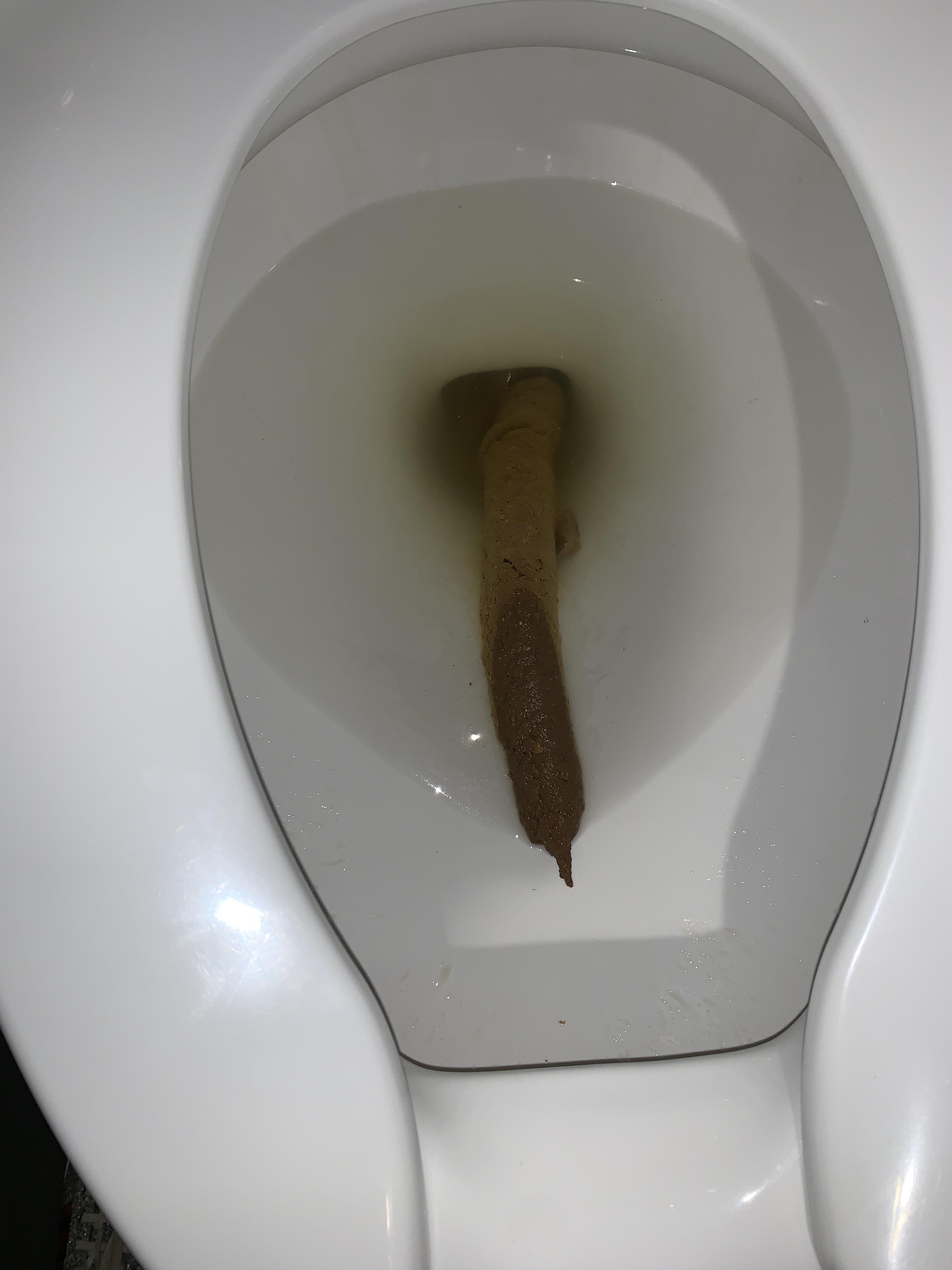 A fat 1 foot shit while at work ratemypoo