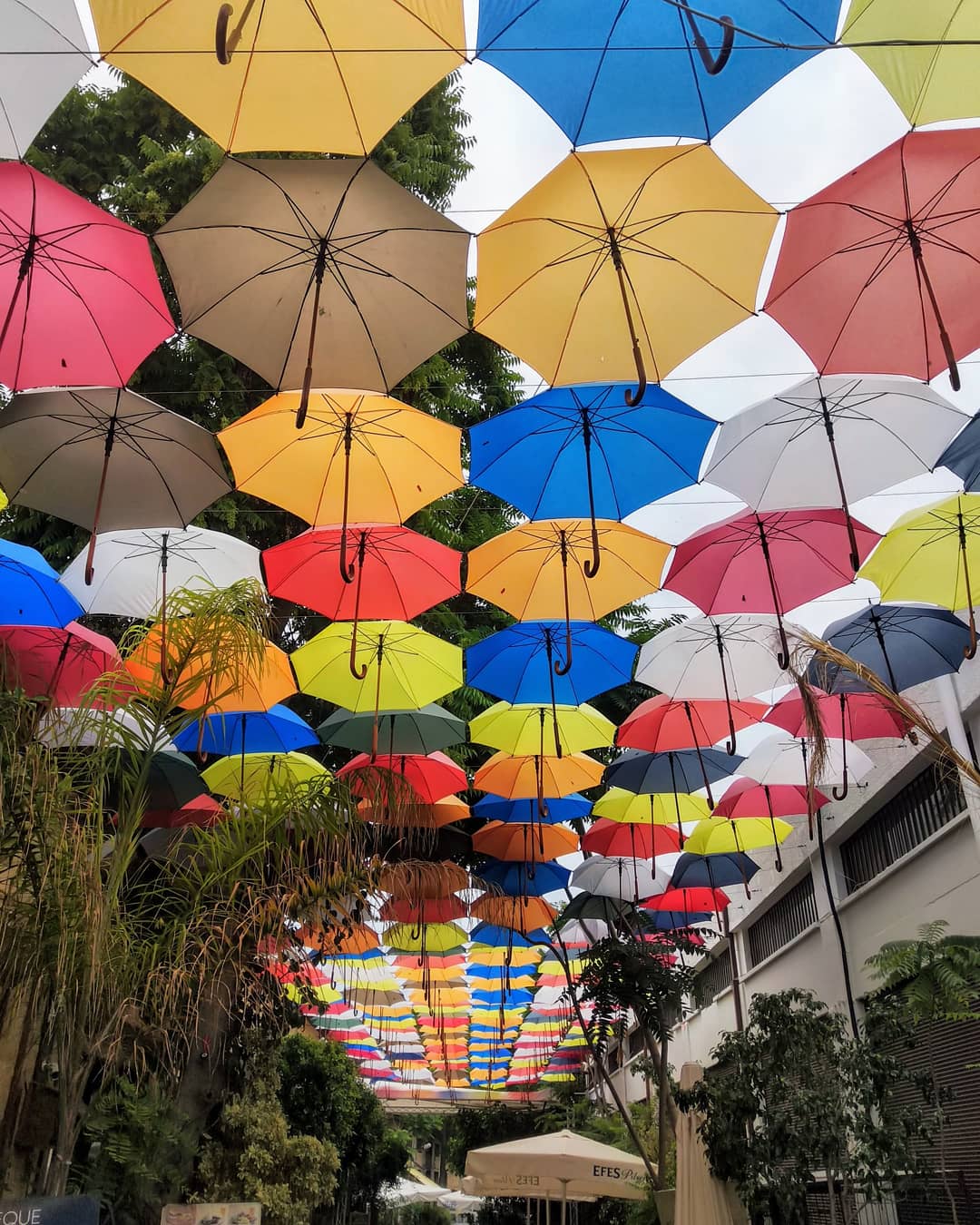 Umbrella street on the Turkish side of Nicosia, Cyprus r/pics