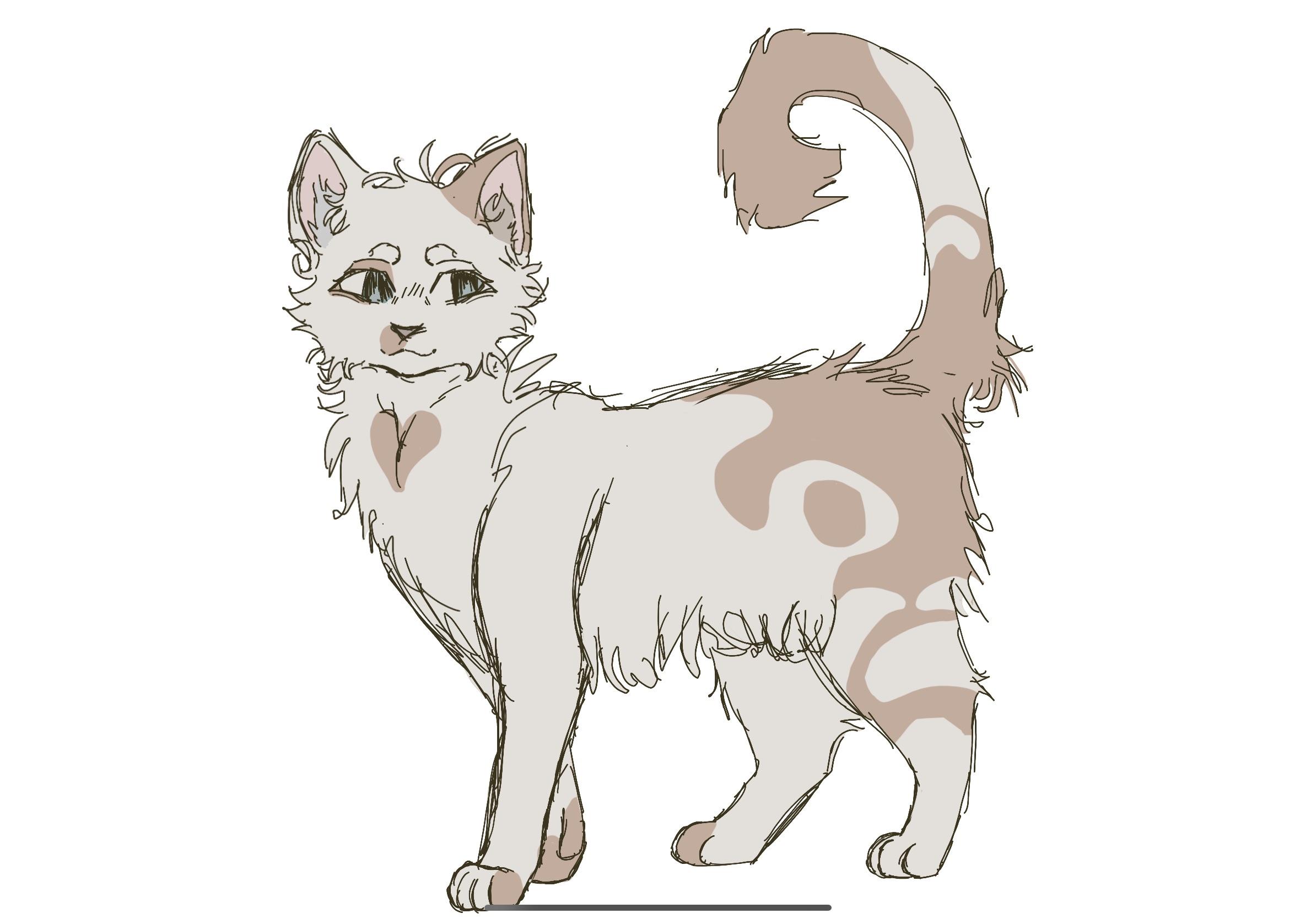 Warrior Cats Lineart Drawing Warrior Cats Accurately Vs Drawing Them