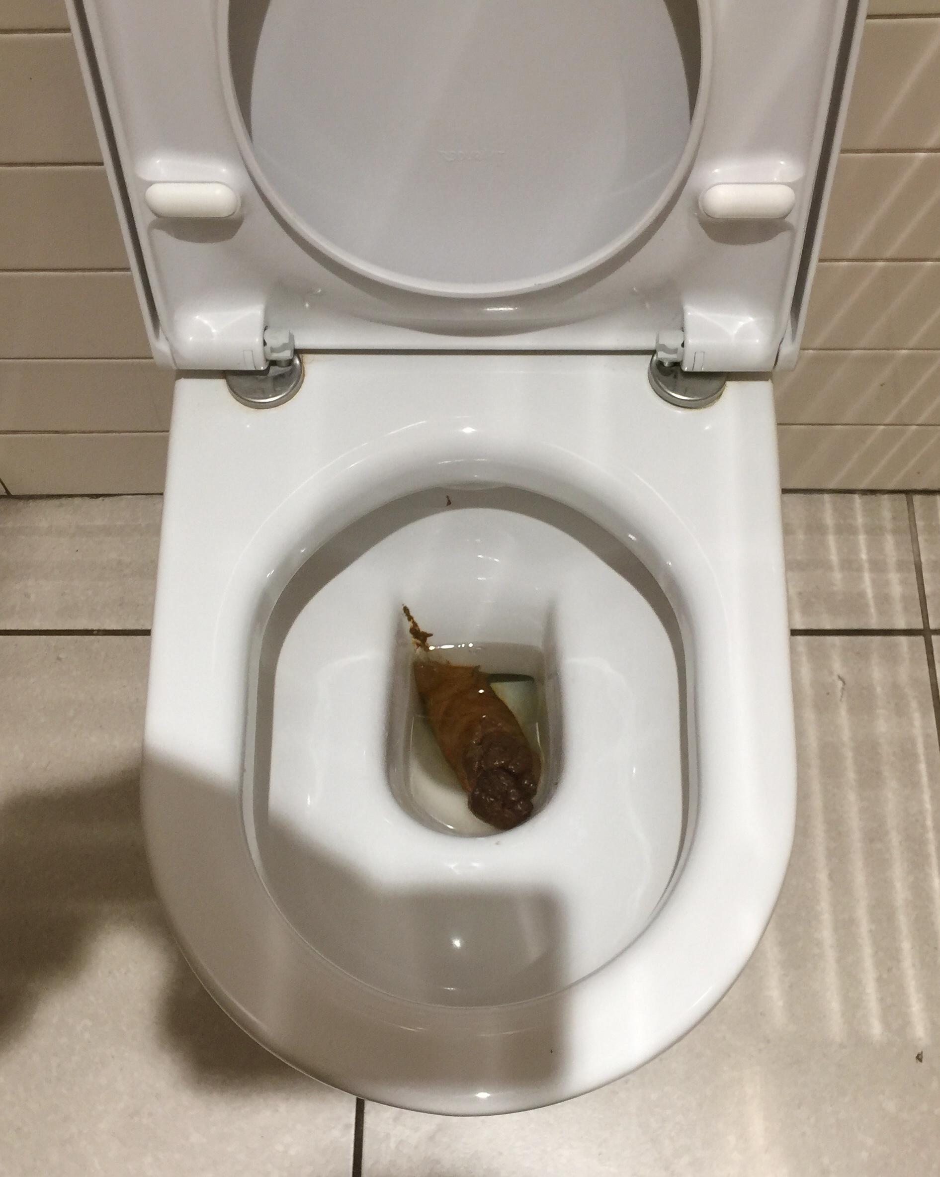 2309 best r/poop images on Pholder Had to shit at the mall.
