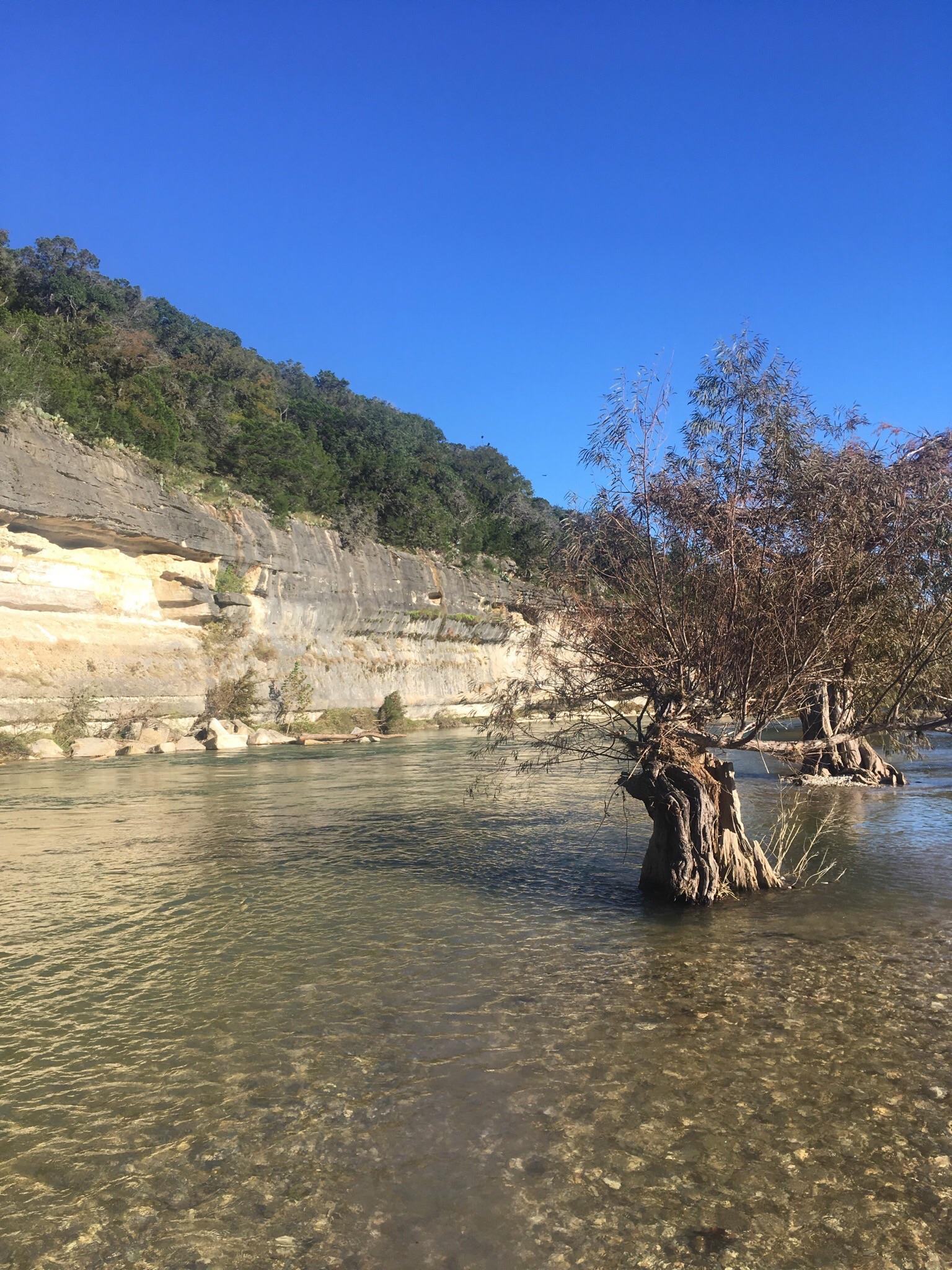 Guadalupe River State Park, Texas r/unitedstatesofamerica