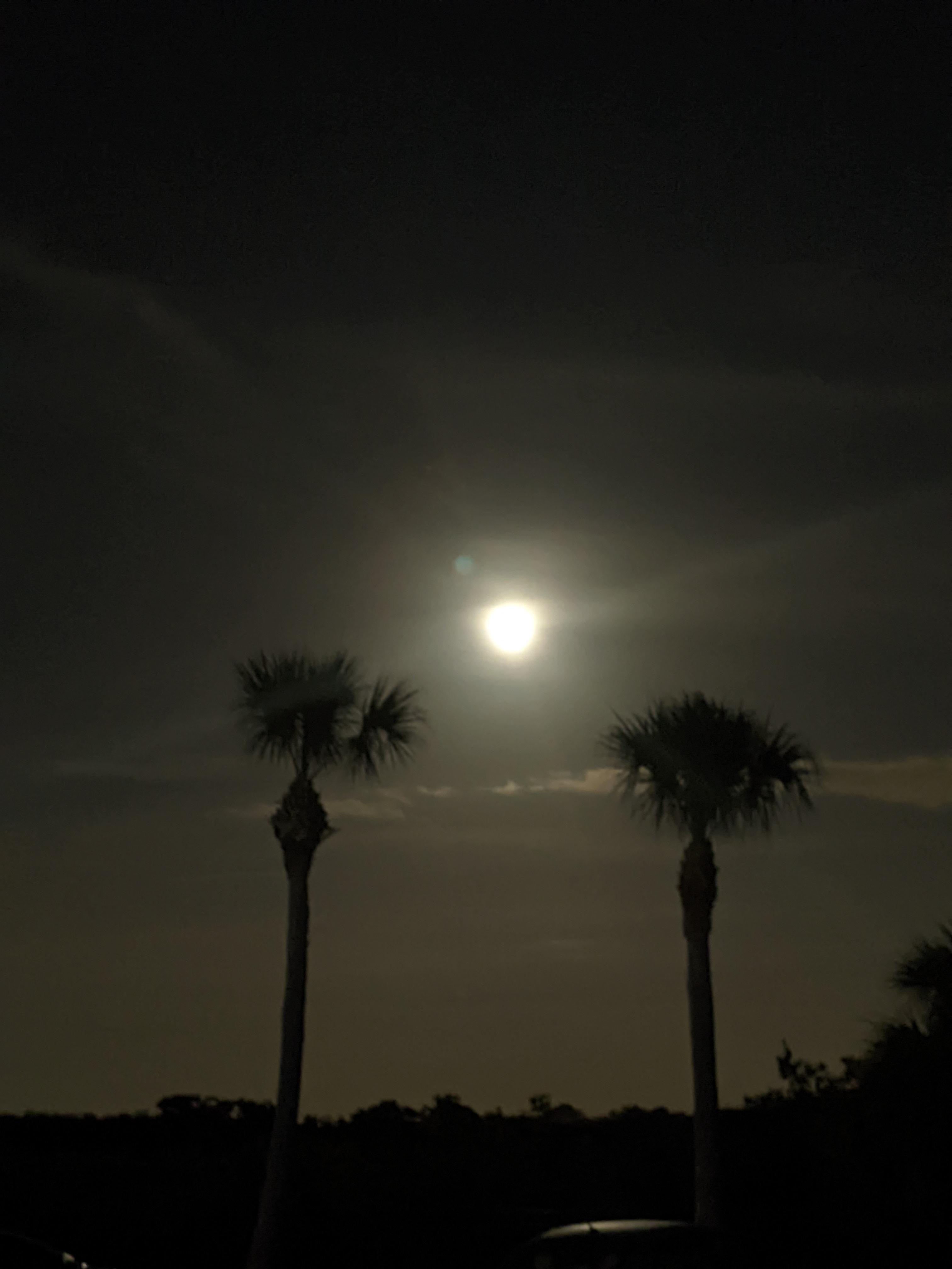 The moon in Florida moon