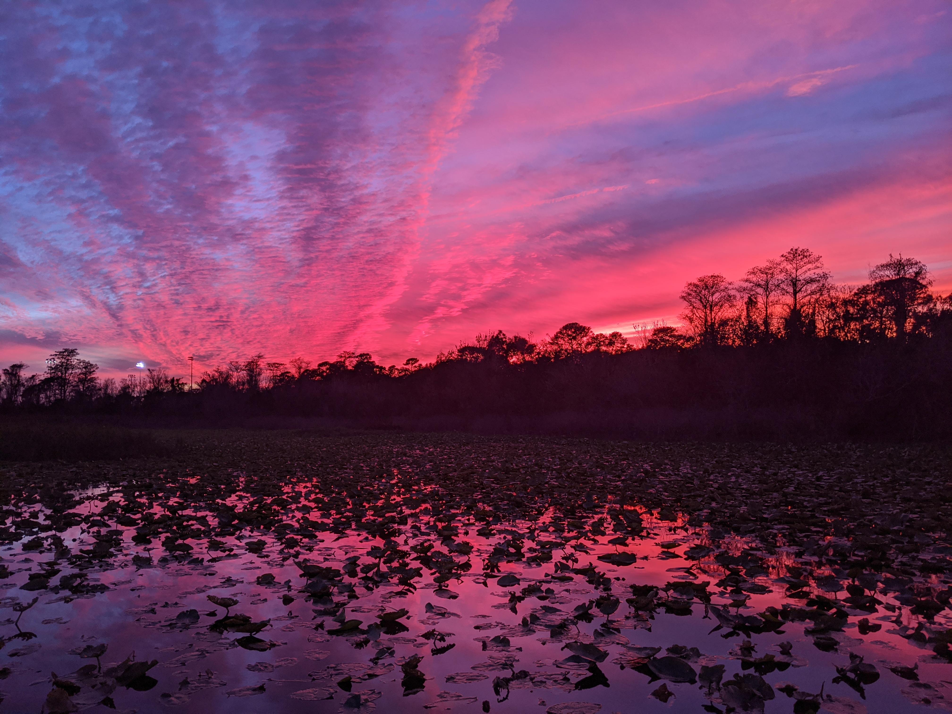 Sunset in Orlando, Florida last night. r/MostBeautiful