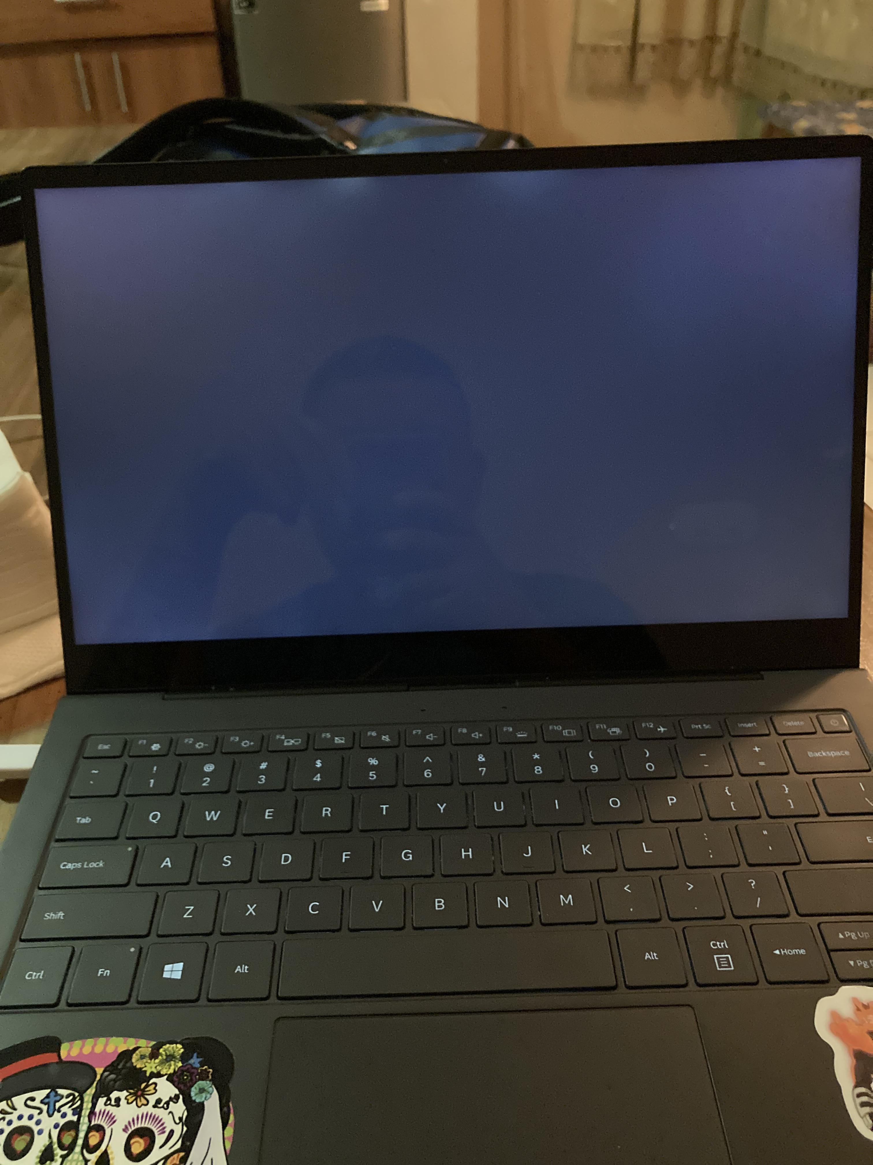 Laptop screen turns on but stays blank how can I fix this? (Pic