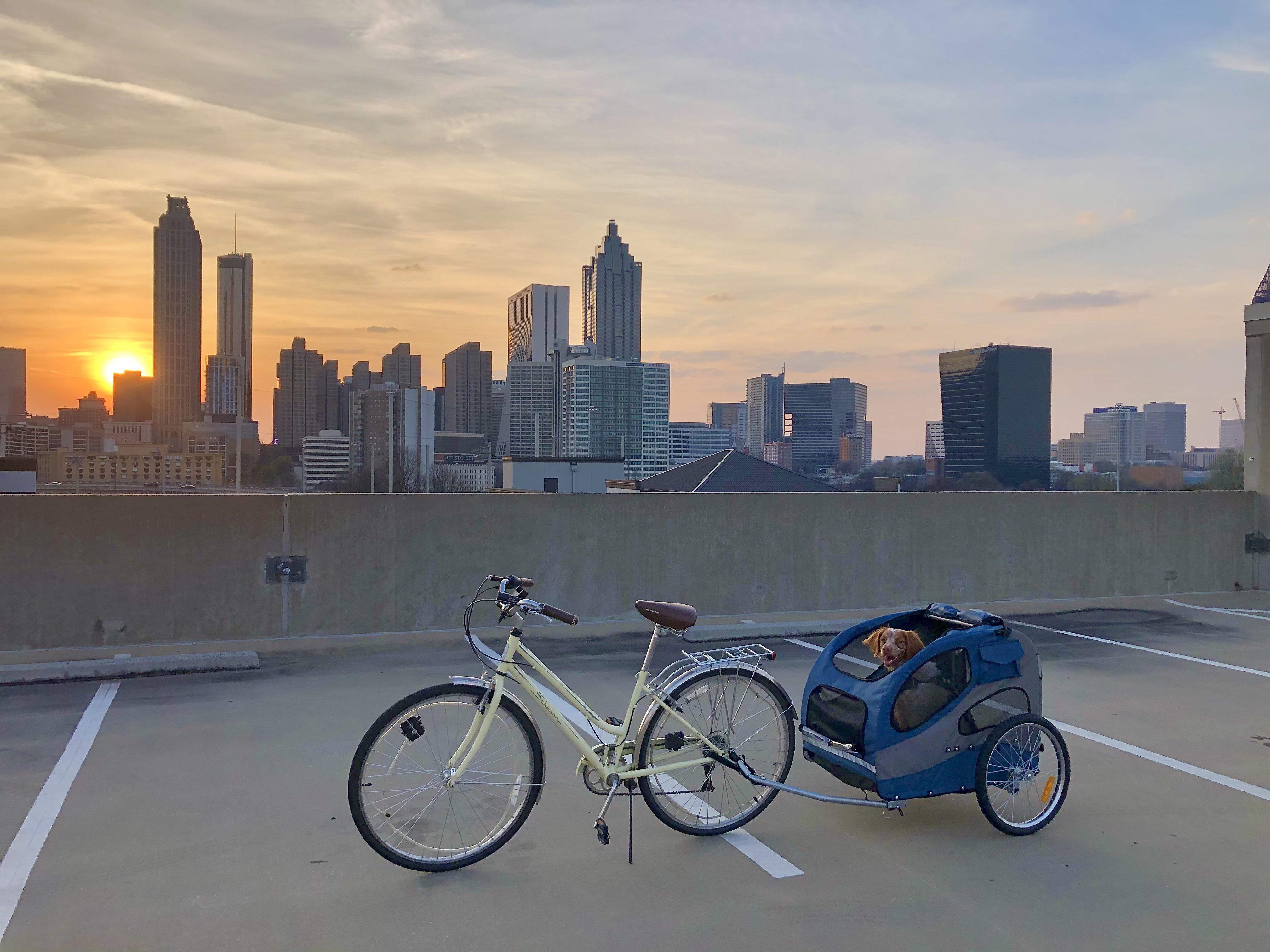 Has anyone here trained a dog to ride in a bike trailer? r/Dogtraining