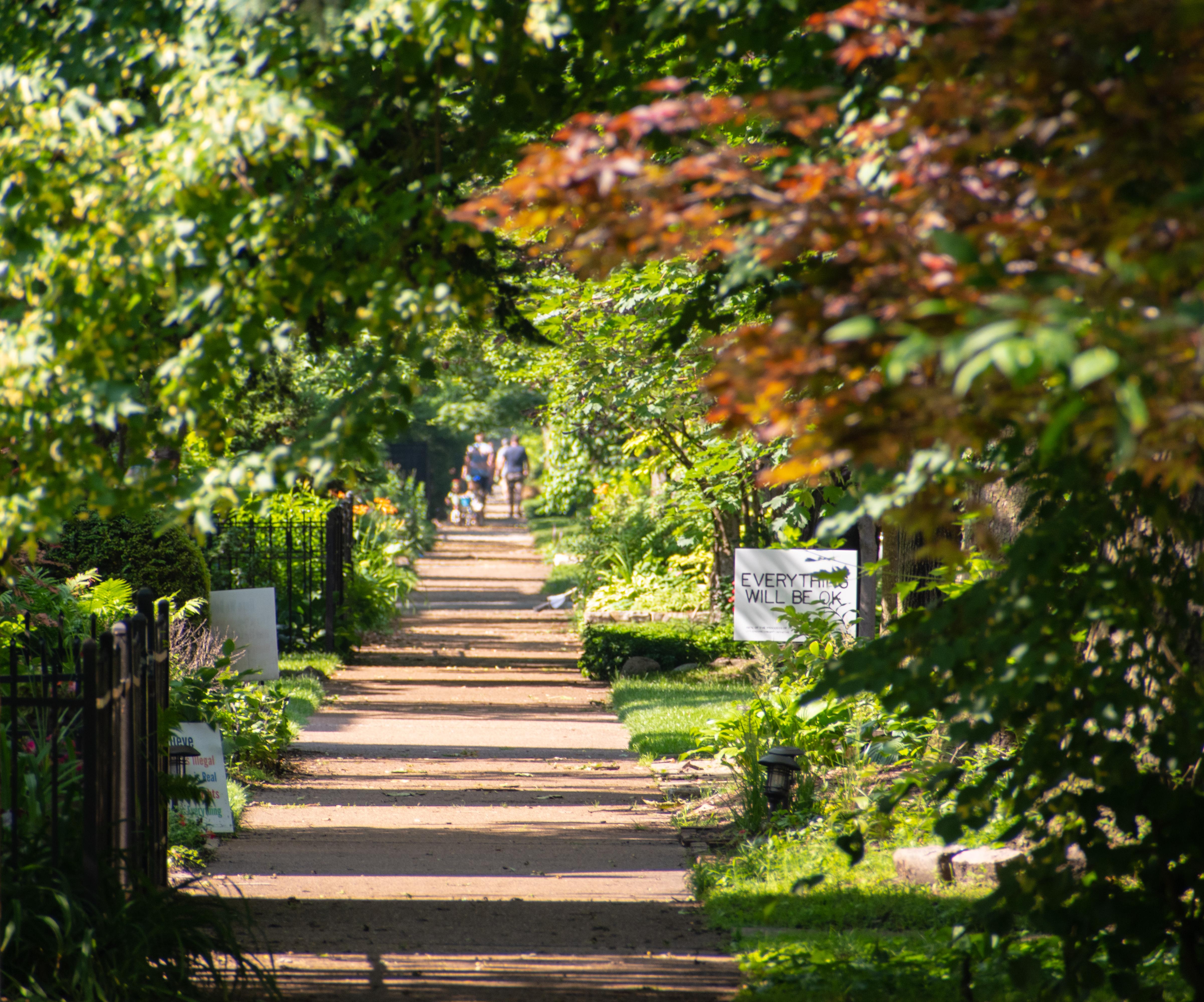 I love this little stretch of Magnolia Avenue in Edgewater r/chicago