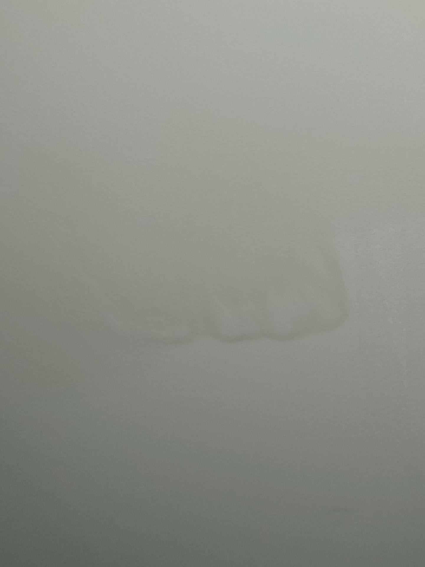 Surfactant Leaching r/Housepainting101