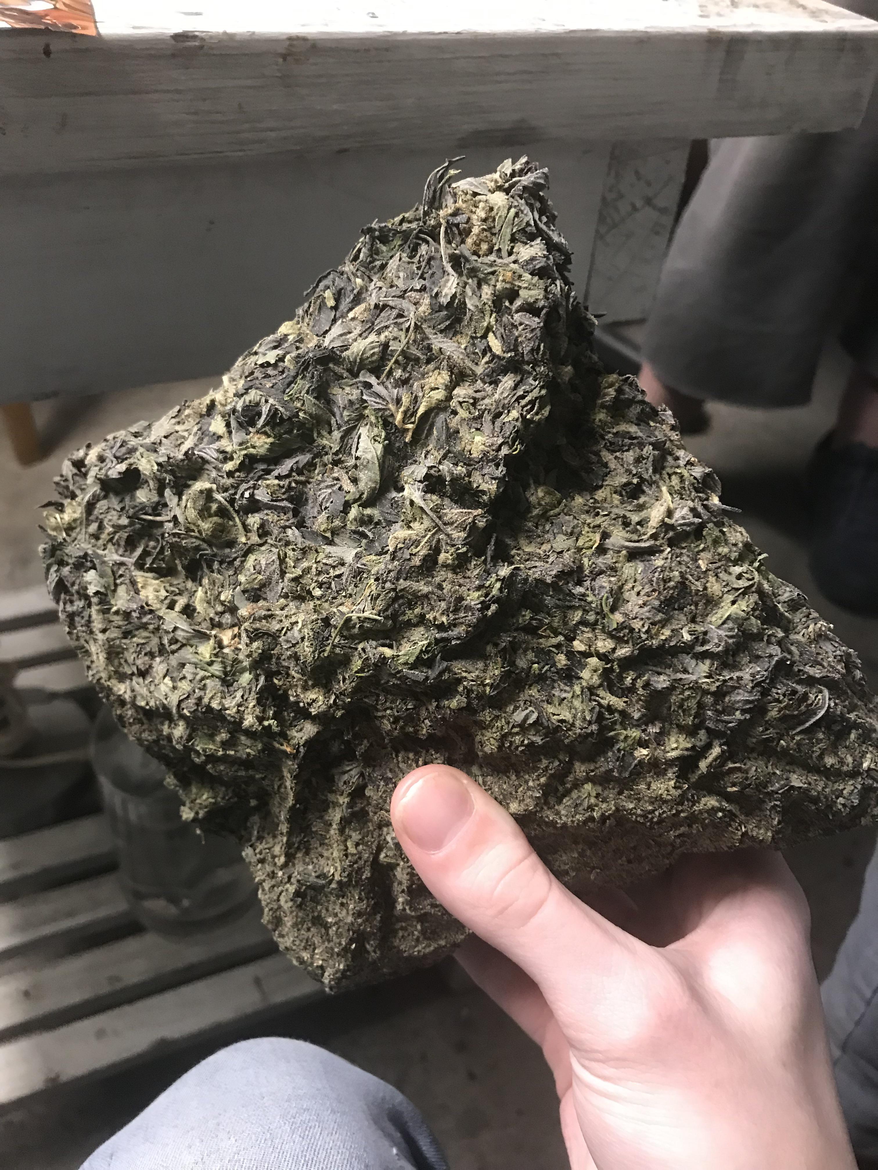 Brick weed r/weed