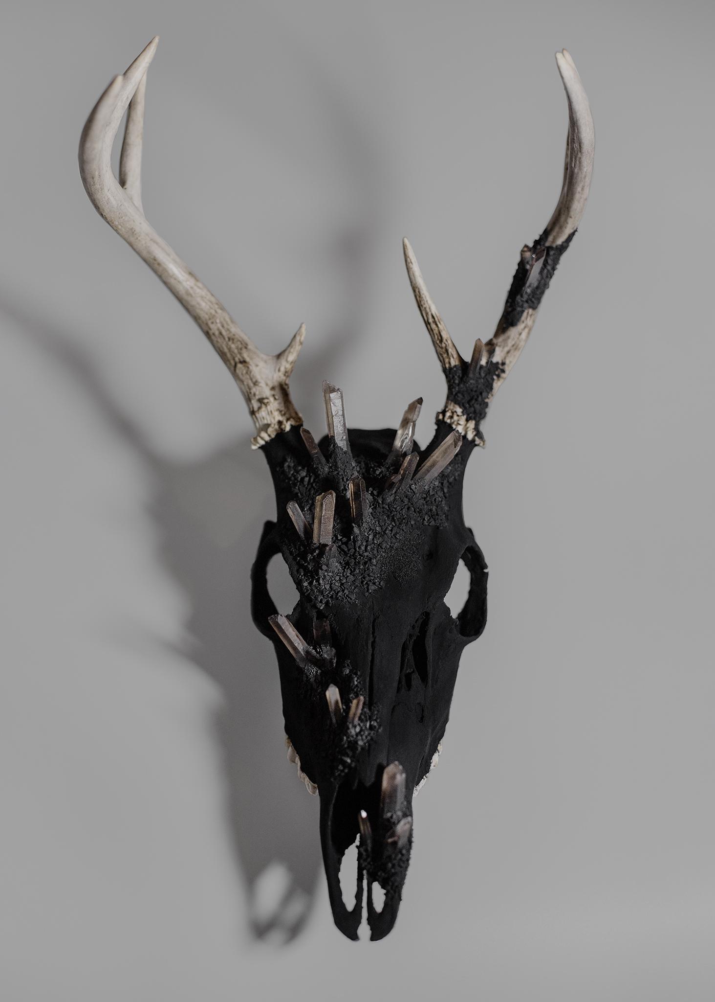 3 best u/canis_calva images on Pholder Decorated a deer skull with