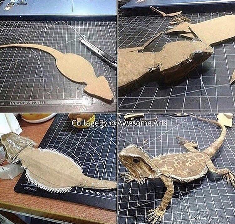 The rest are cursed bearded dragon owls