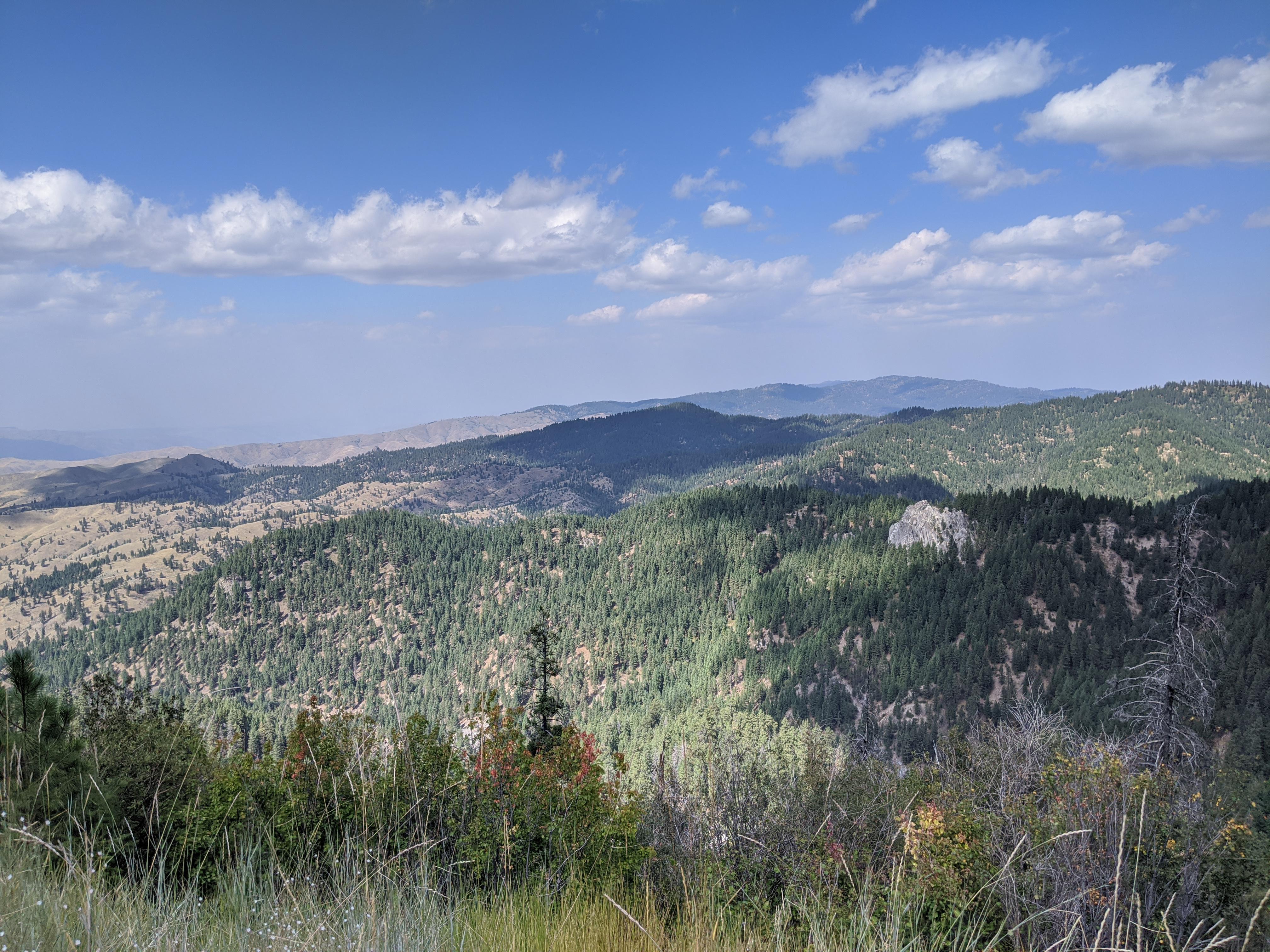 Shafer Butte forest, Boise, ID. [OC] [4032 x 3024] r/EarthPorn
