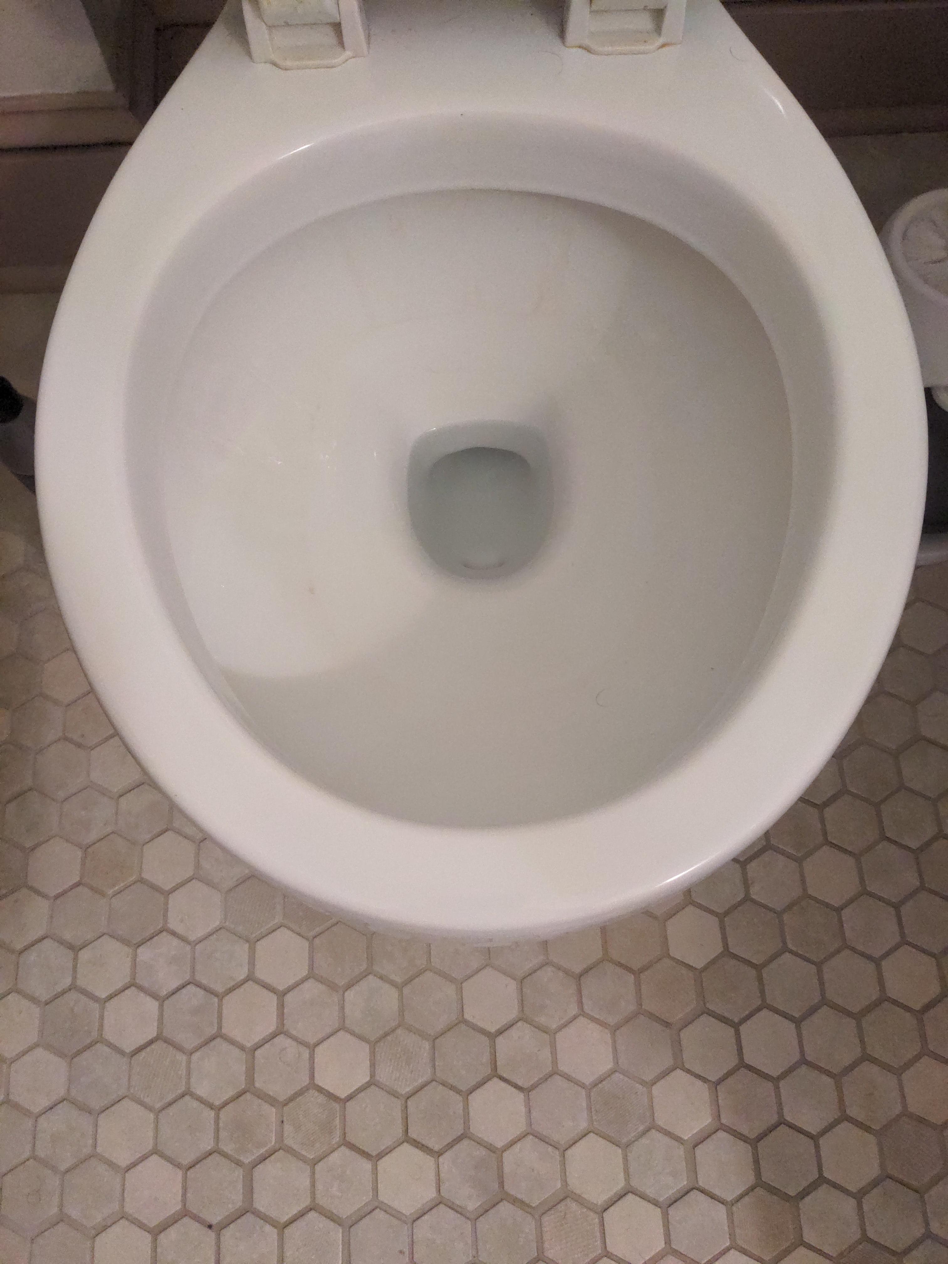 Toilet was flushing twice. "Fixed" by landlord's friend and now flushing once, water sits here