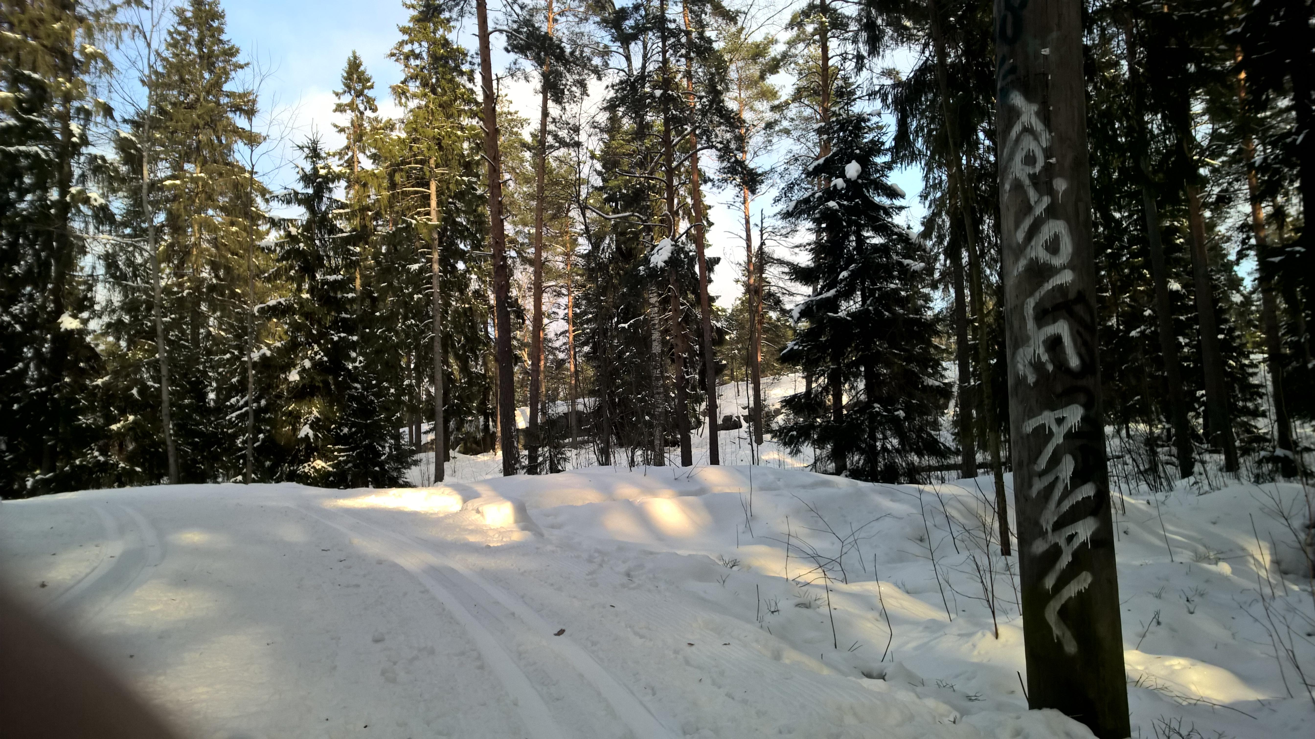 Ski tracks in Helsinki r/europe
