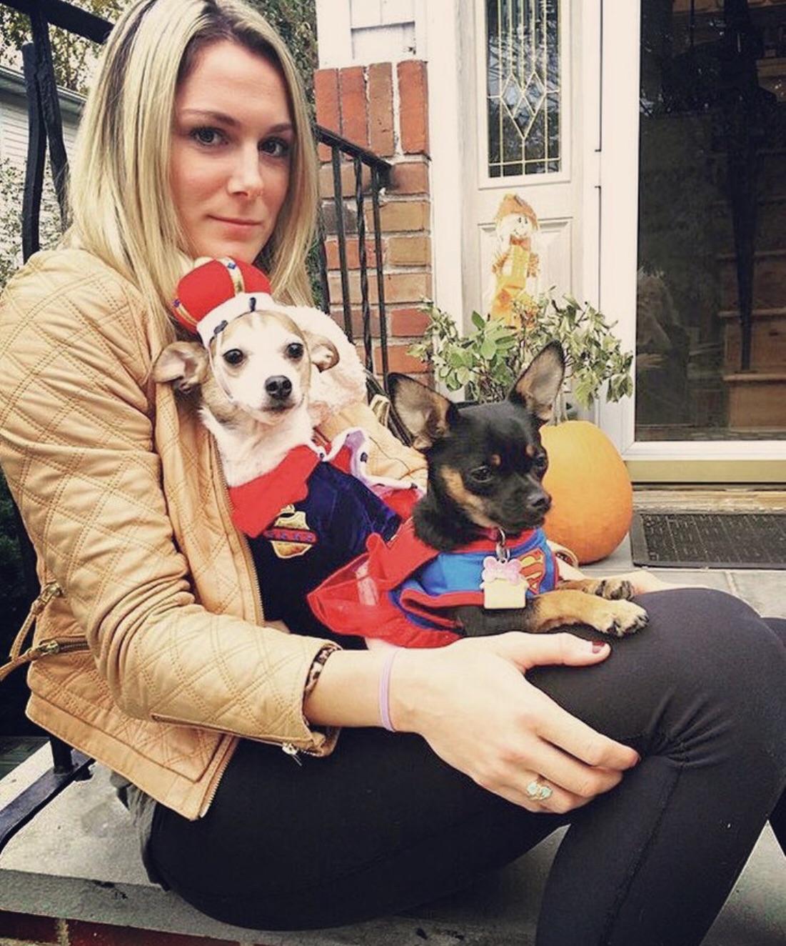 My two Chihuahuas on Halloween Chihuahua