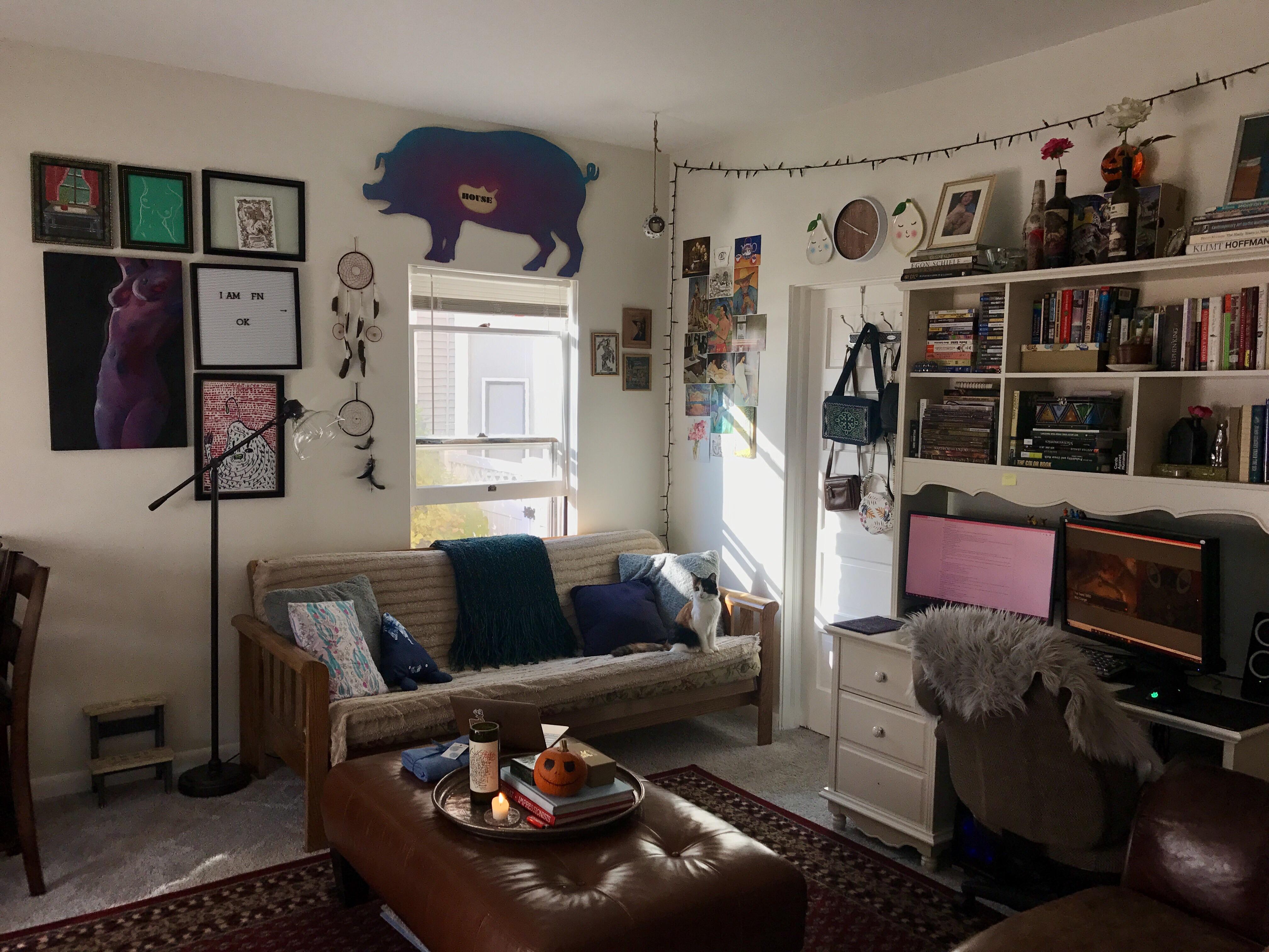 Cluttered living room Missoula, MT r/AmateurRoomPorn