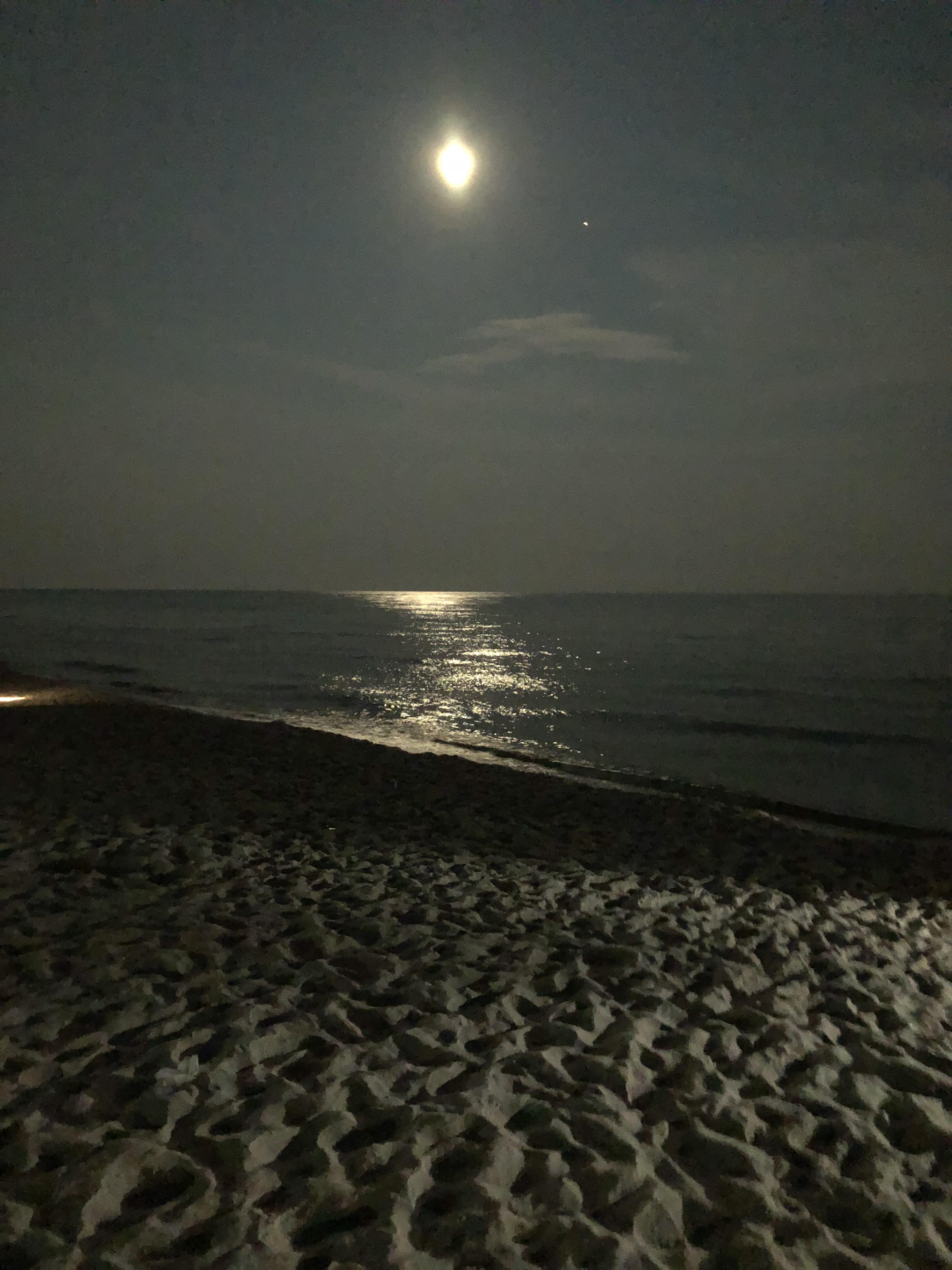 Orange Beach, Florida at night [OC] [1080x1920] r/EarthPorn