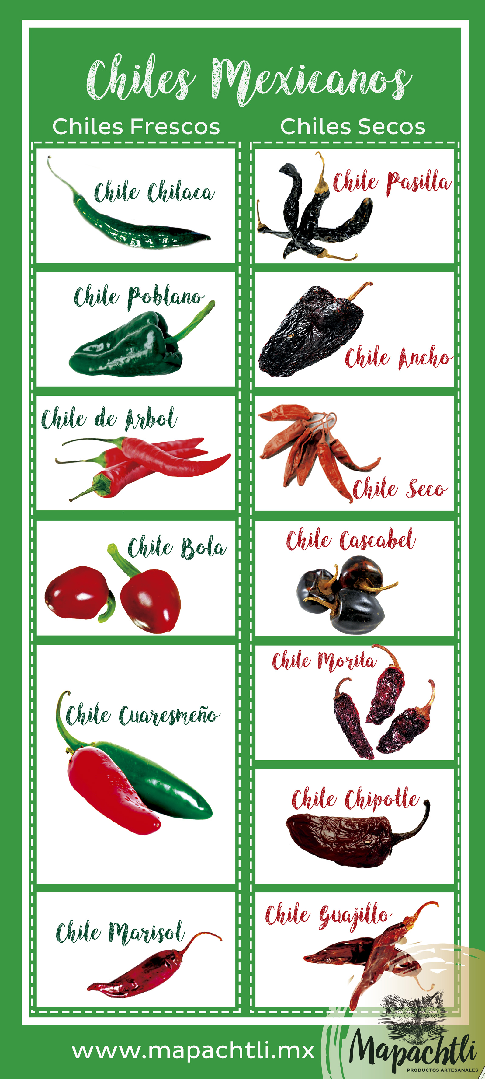 Did you guys know that a chilis´ name changes after being dried? This