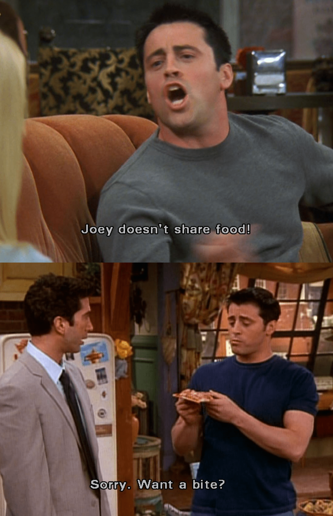 Joey Doesn't Share Food? howyoudoin
