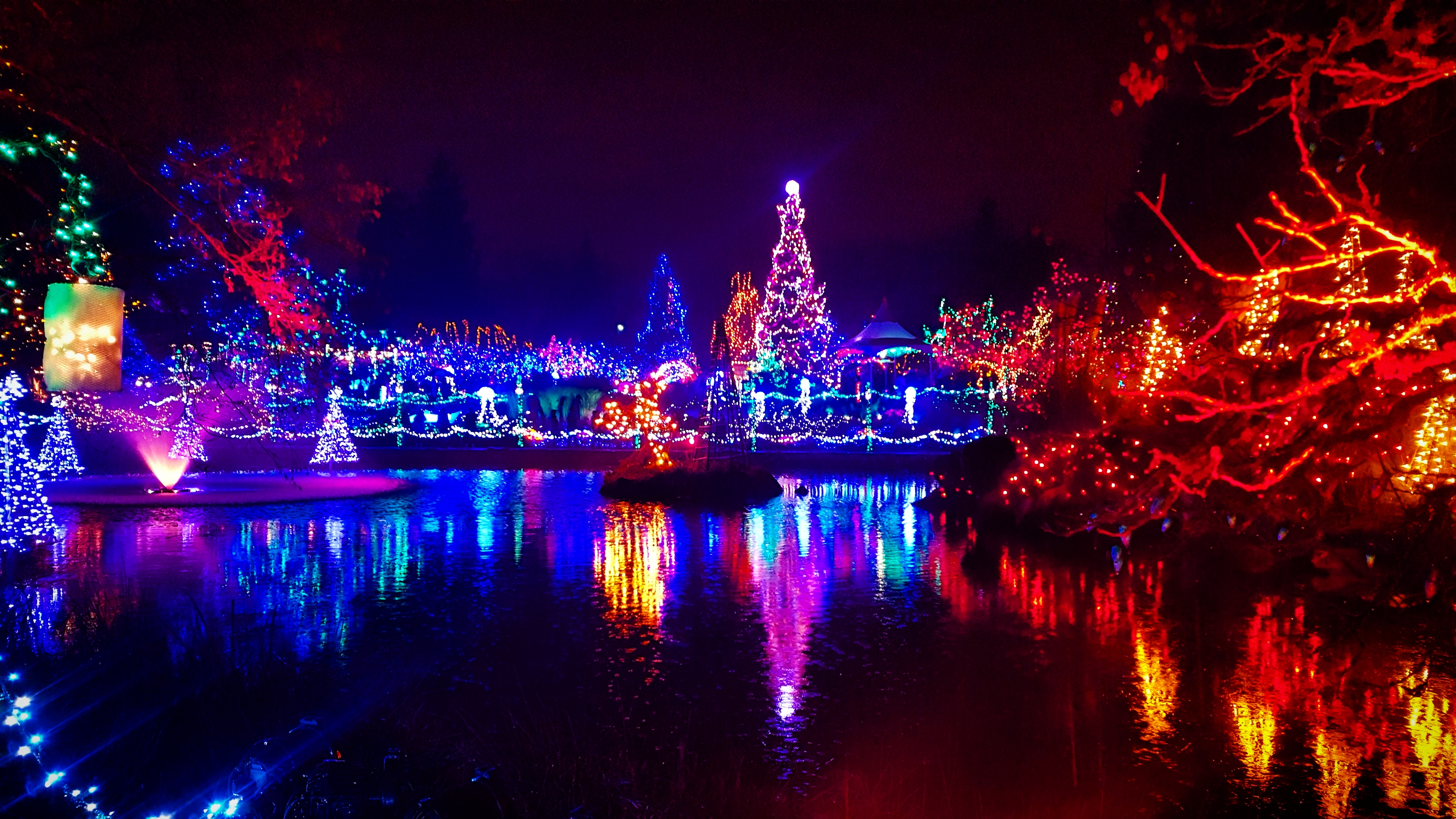 Festival of Lights VanDusen Botanical Garden r/vancouver