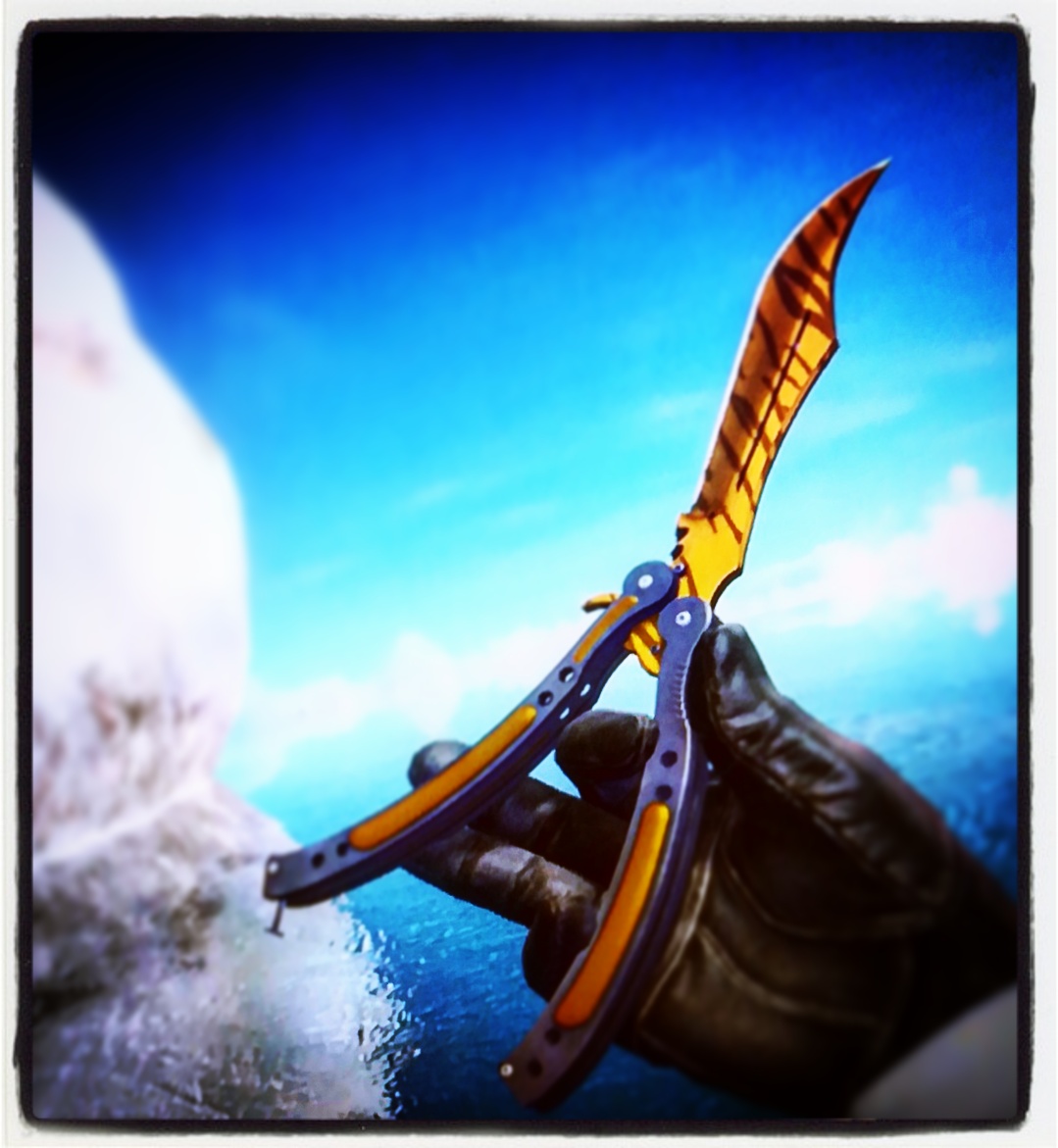 Butterfly knife tiger tooth r/csgo