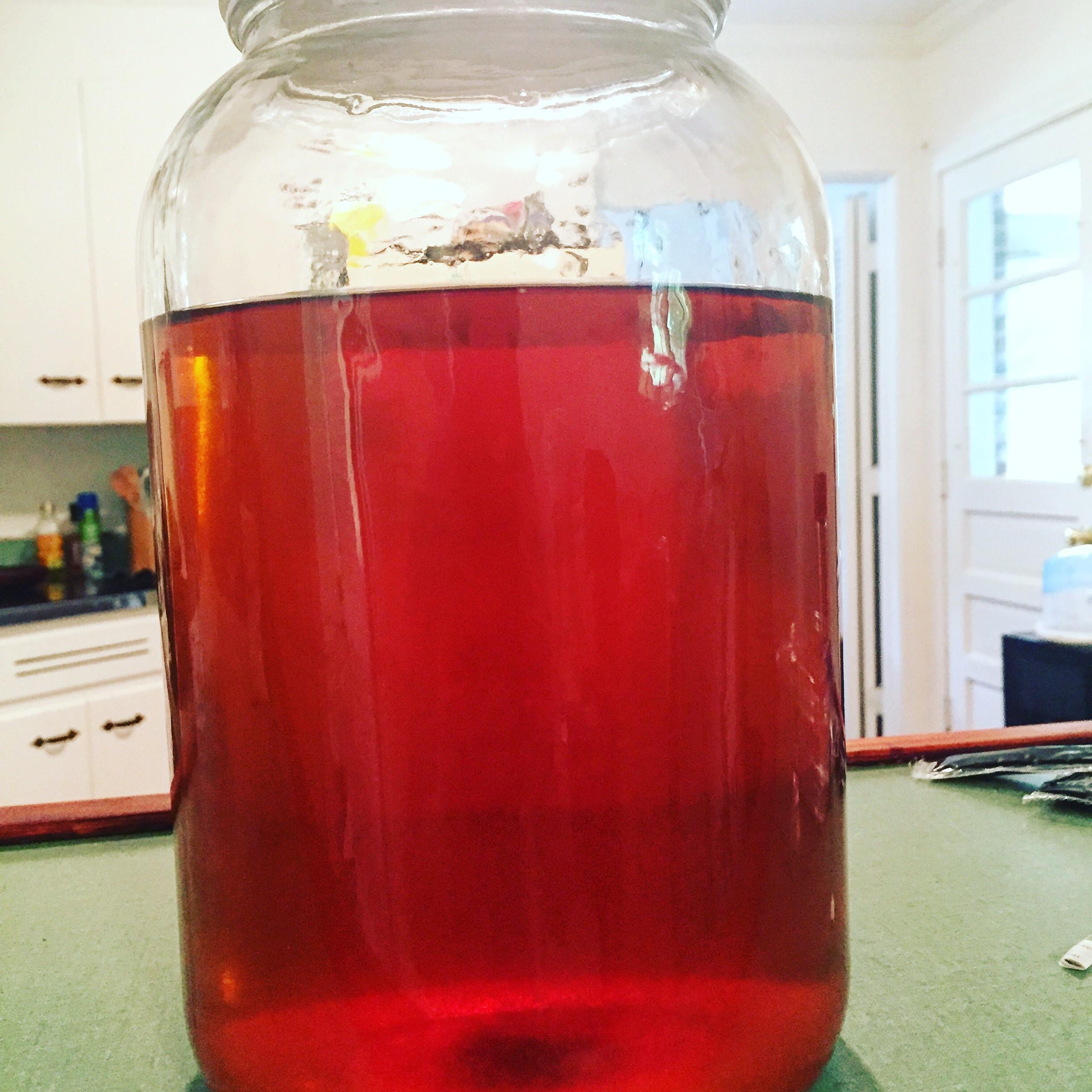 Just finished my first mead. Blood orange and vanilla melomel. r/mead