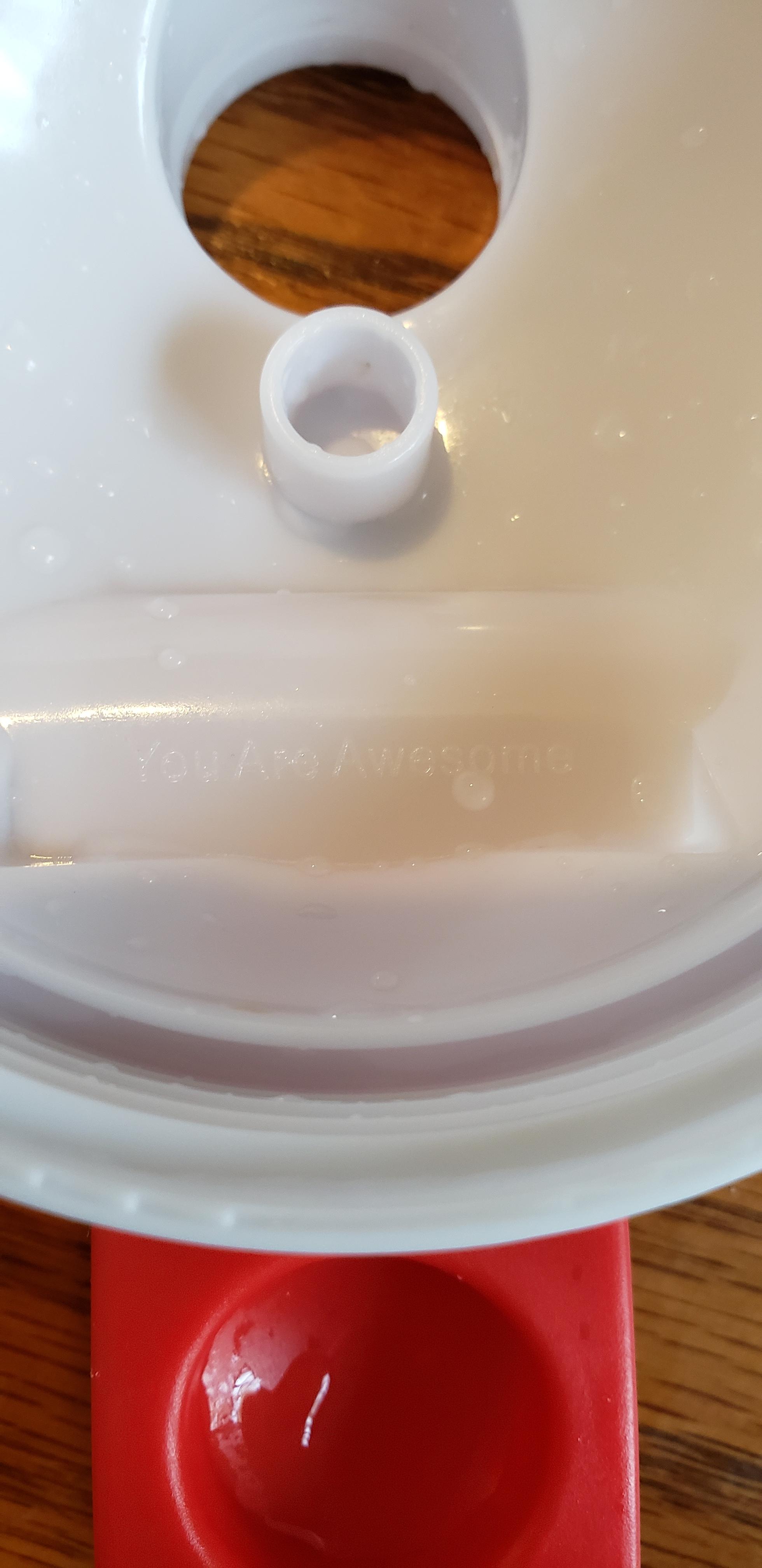 I found this on a shaker bottle lid while washing dishes. r/IRLEasterEggs
