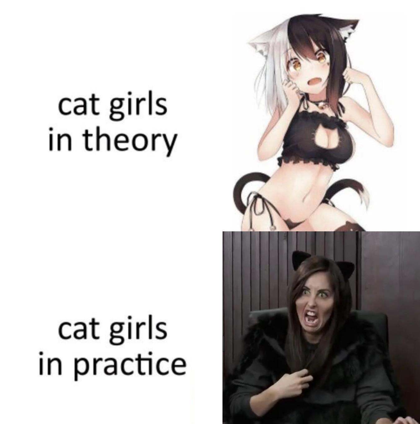 Cat girls ? r/IASIP