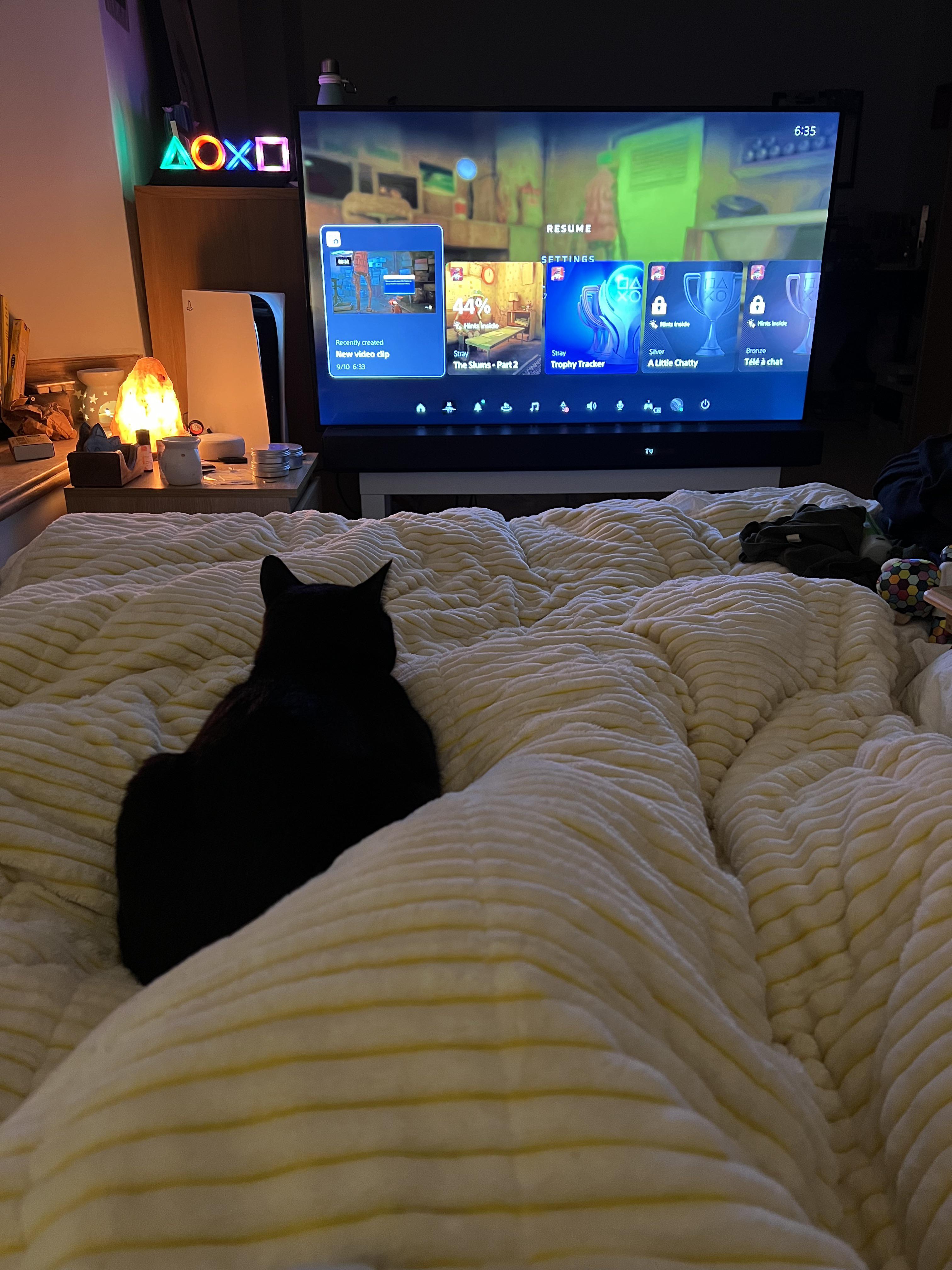 My cat watches me play Stray a game where you play as a cat 🐈 r