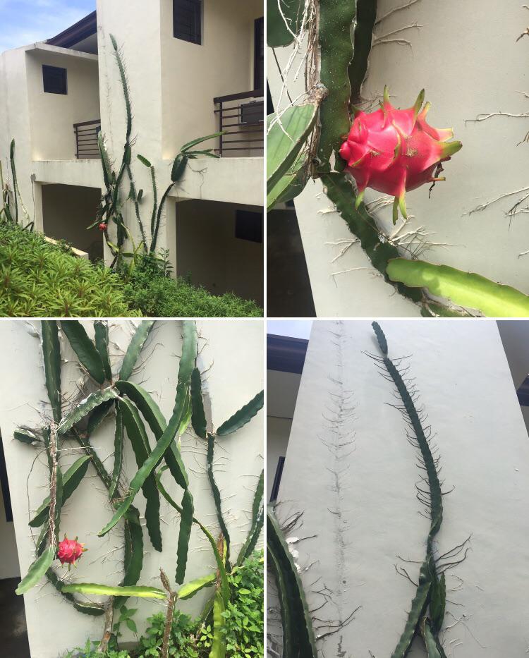 We stayed in this cozy home for a while. And they have a lot of these