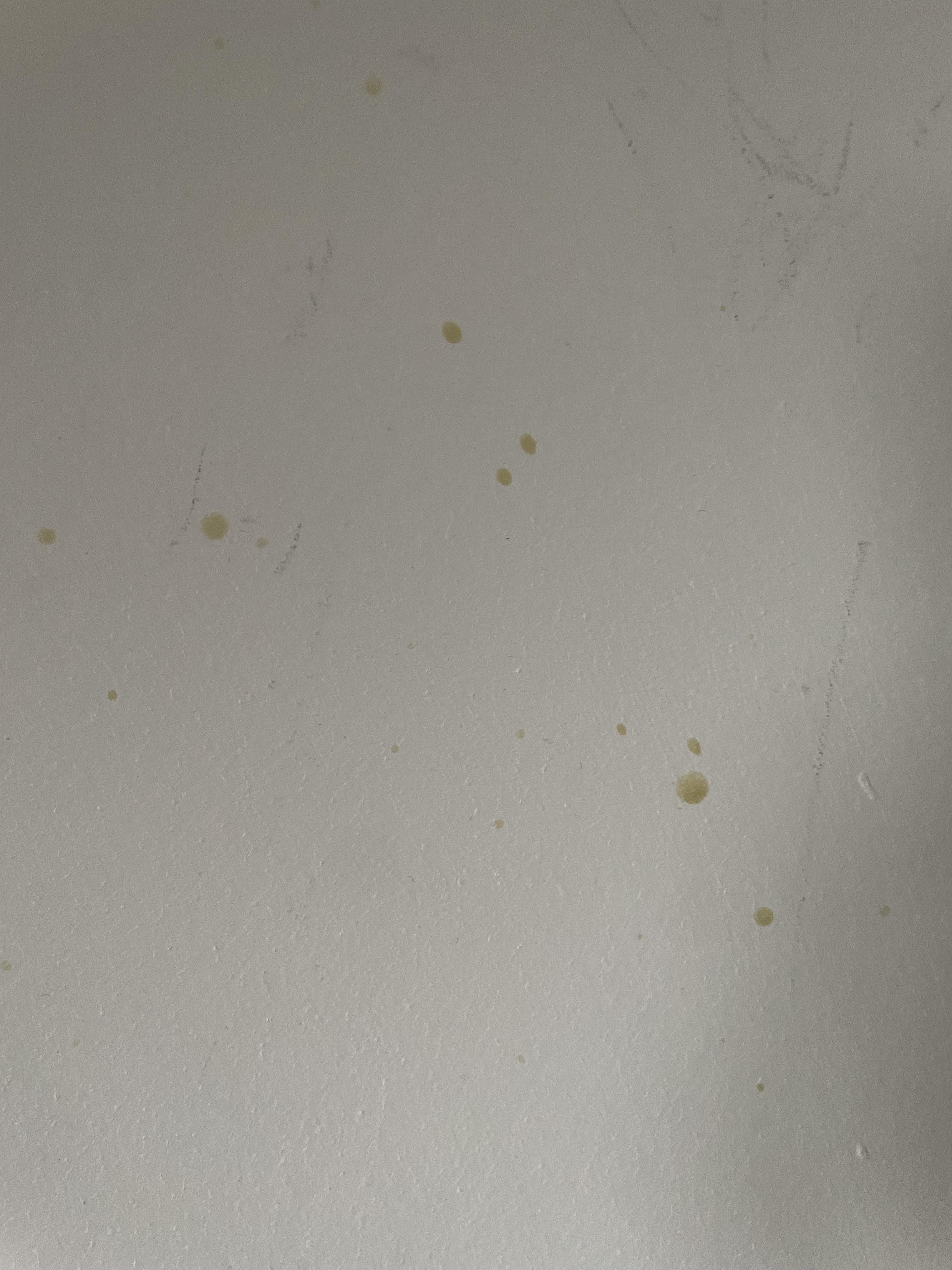 1 best u/katieektkaty images on Pholder Any ideas on what this could