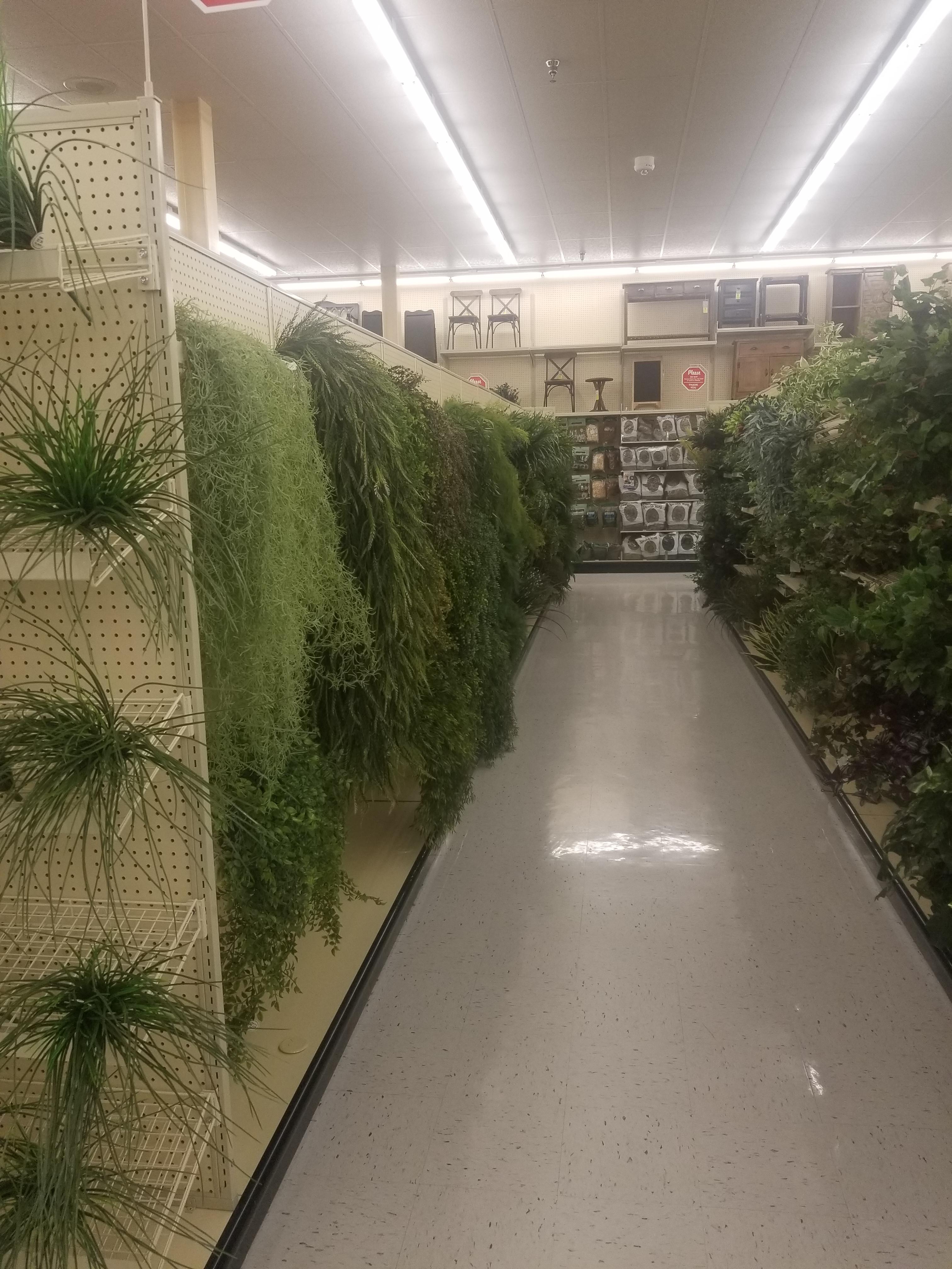 How is Hobby Lobby able to support this terrarium without any water or