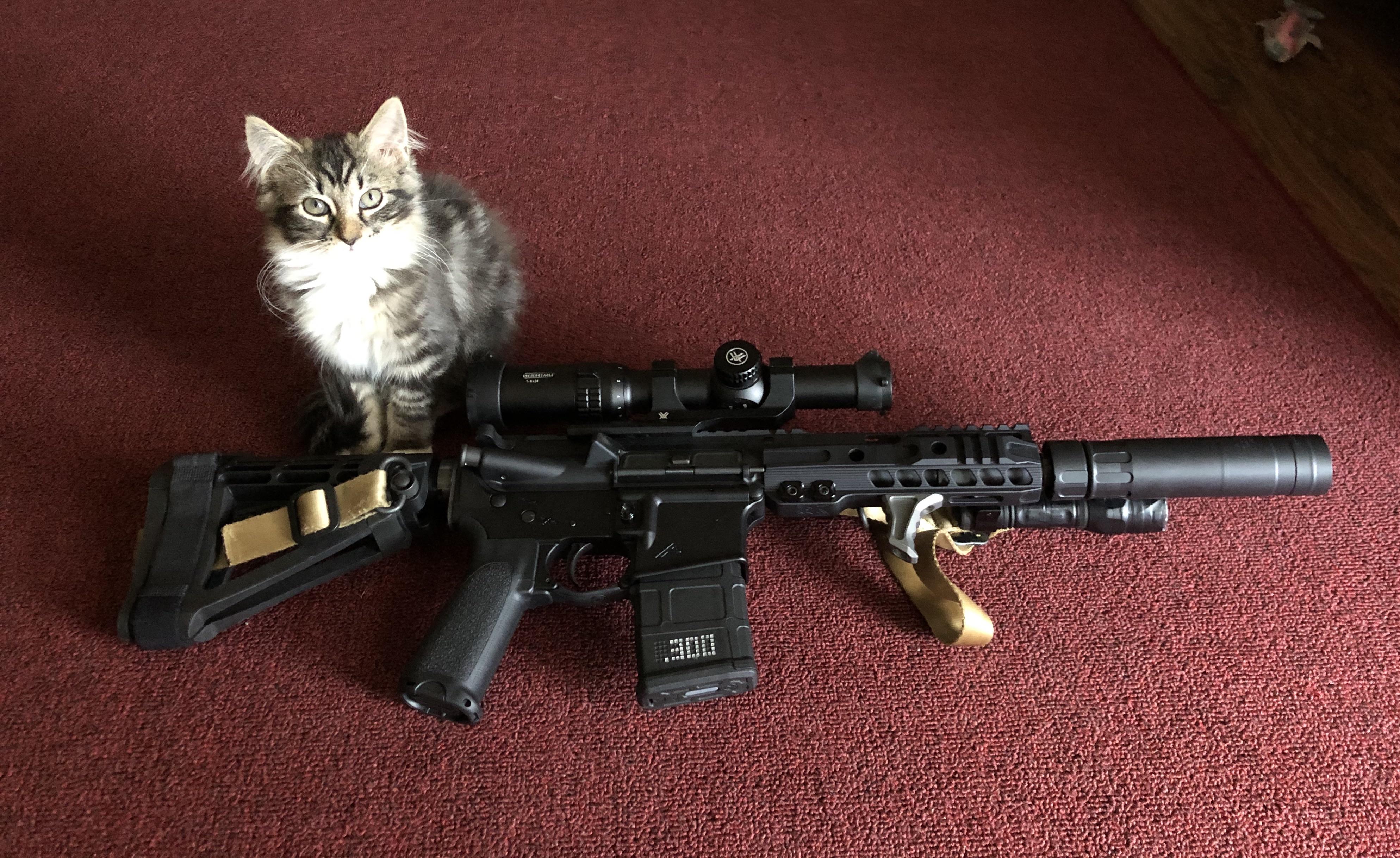Gatcat says 20s are mo bettah r/ar15