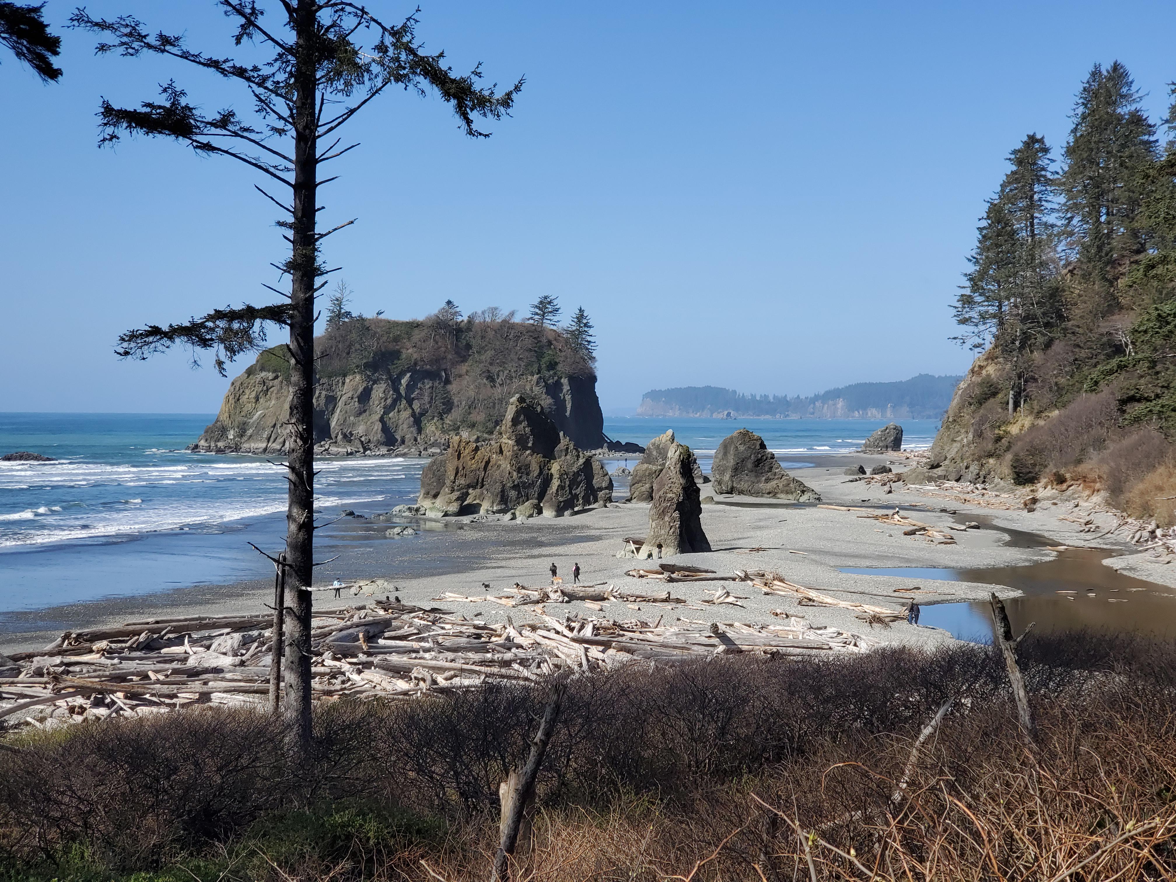 Beautiful Day at Ruby Beach. r/Washington