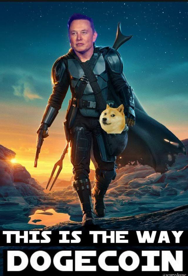 Elon musk wake up dogecoin