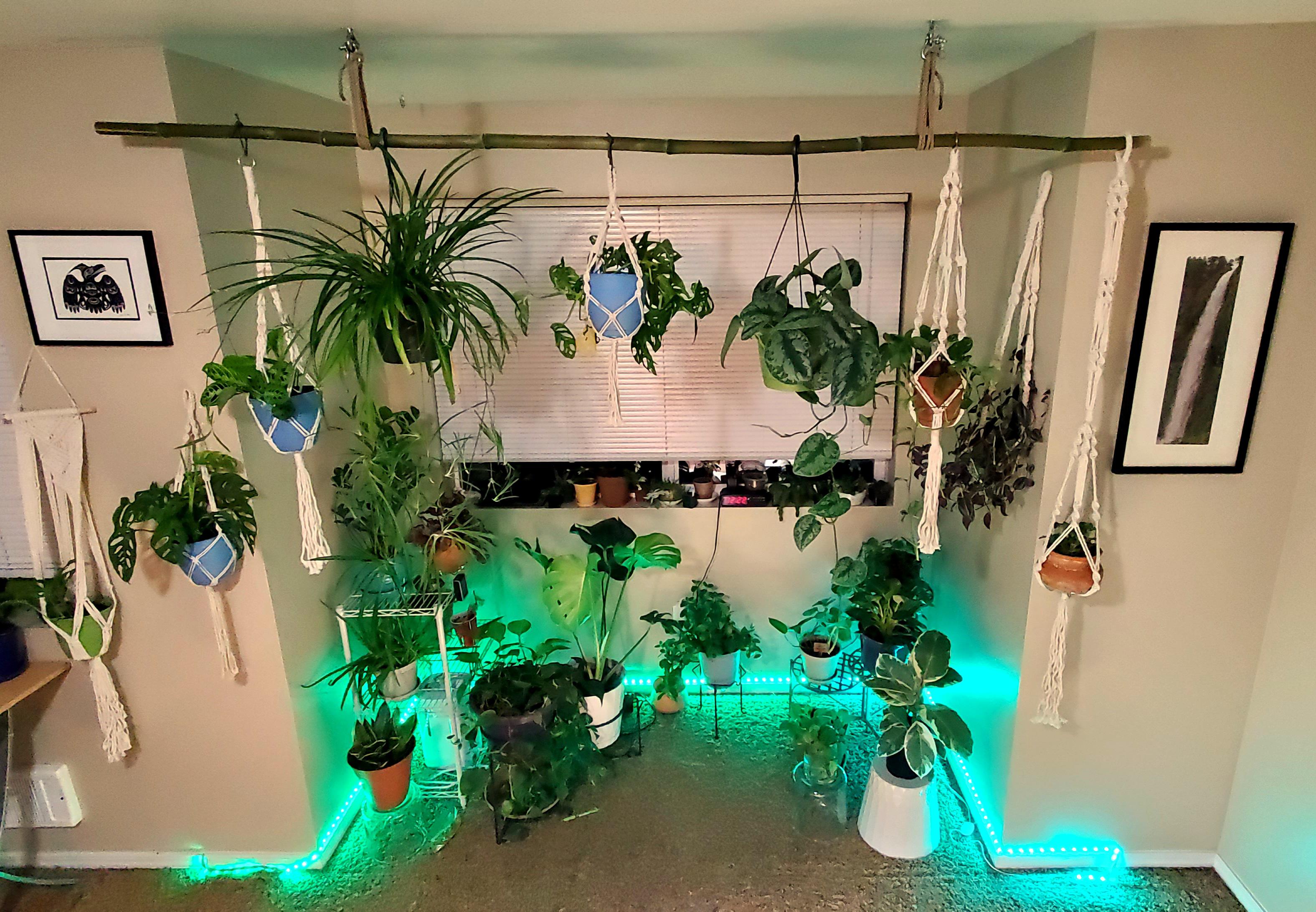 I added a bunch of fun stuff to my bedroom plant nook recently. Kinda