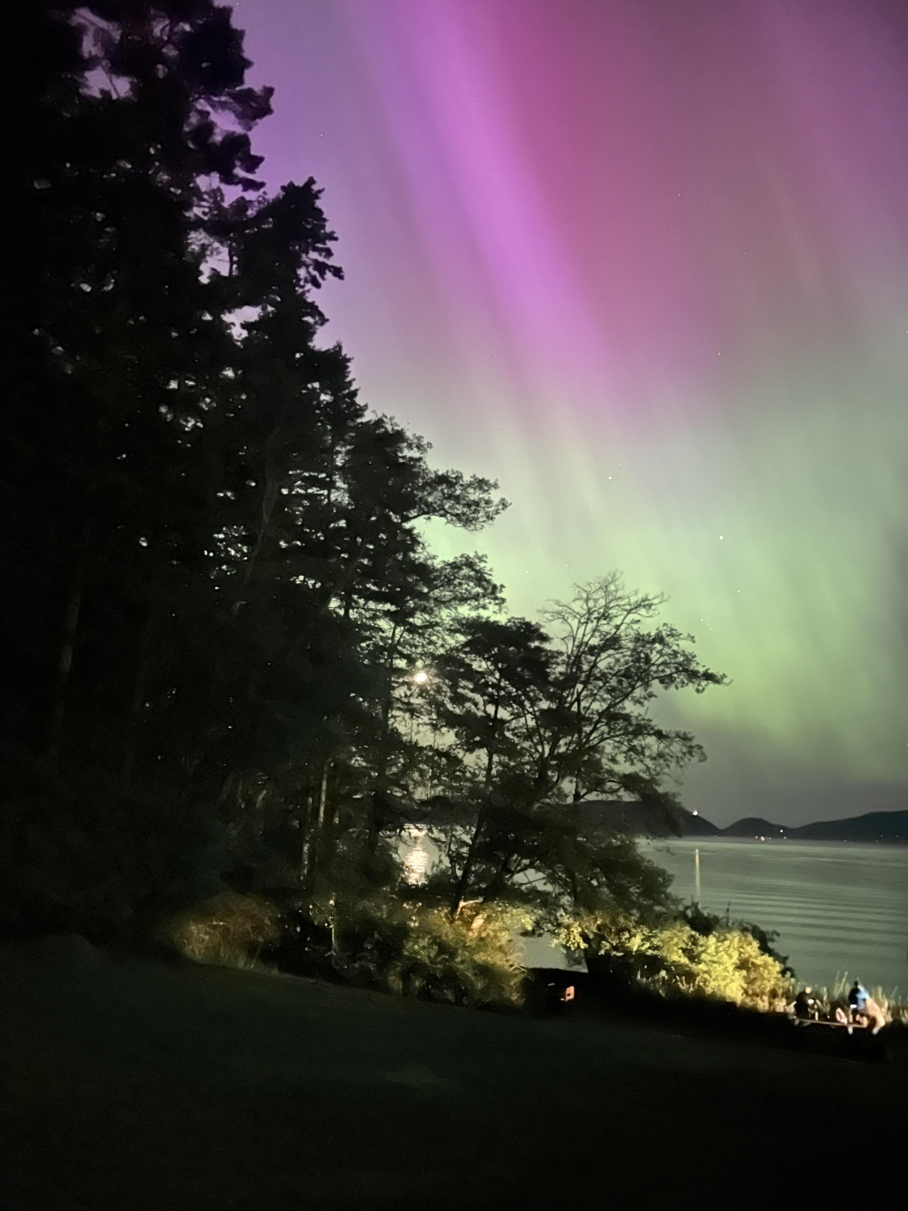 Northern Lights at Washington Park r/Anacortes