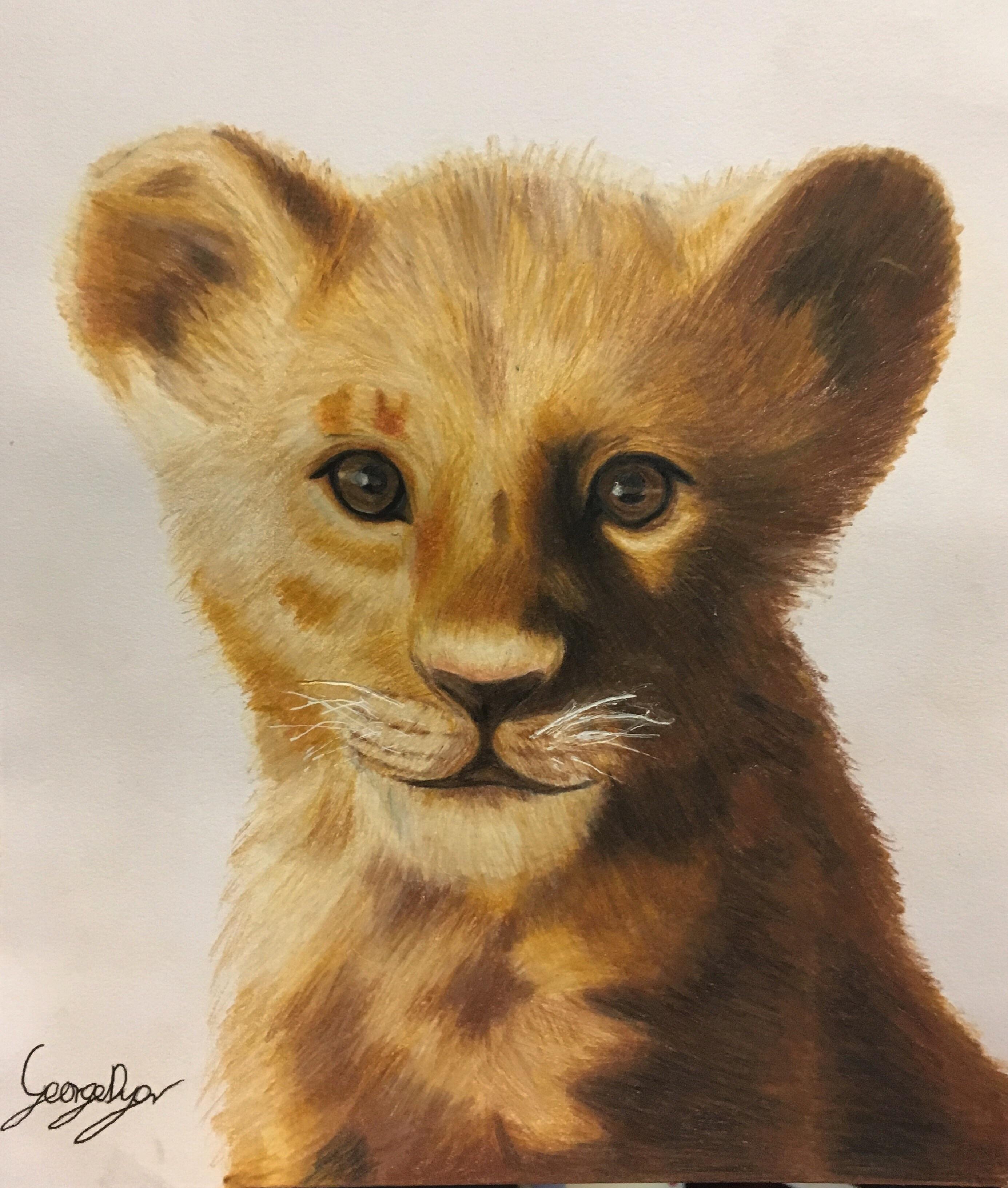 Simba lion king hand drawn r/disney