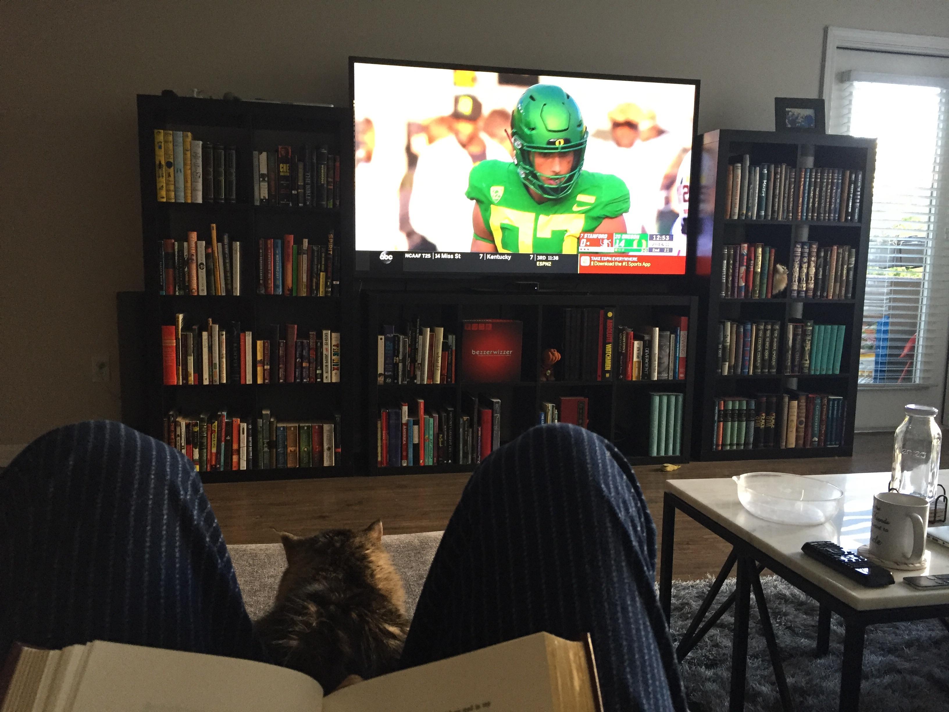 Living room setup r/bookshelf