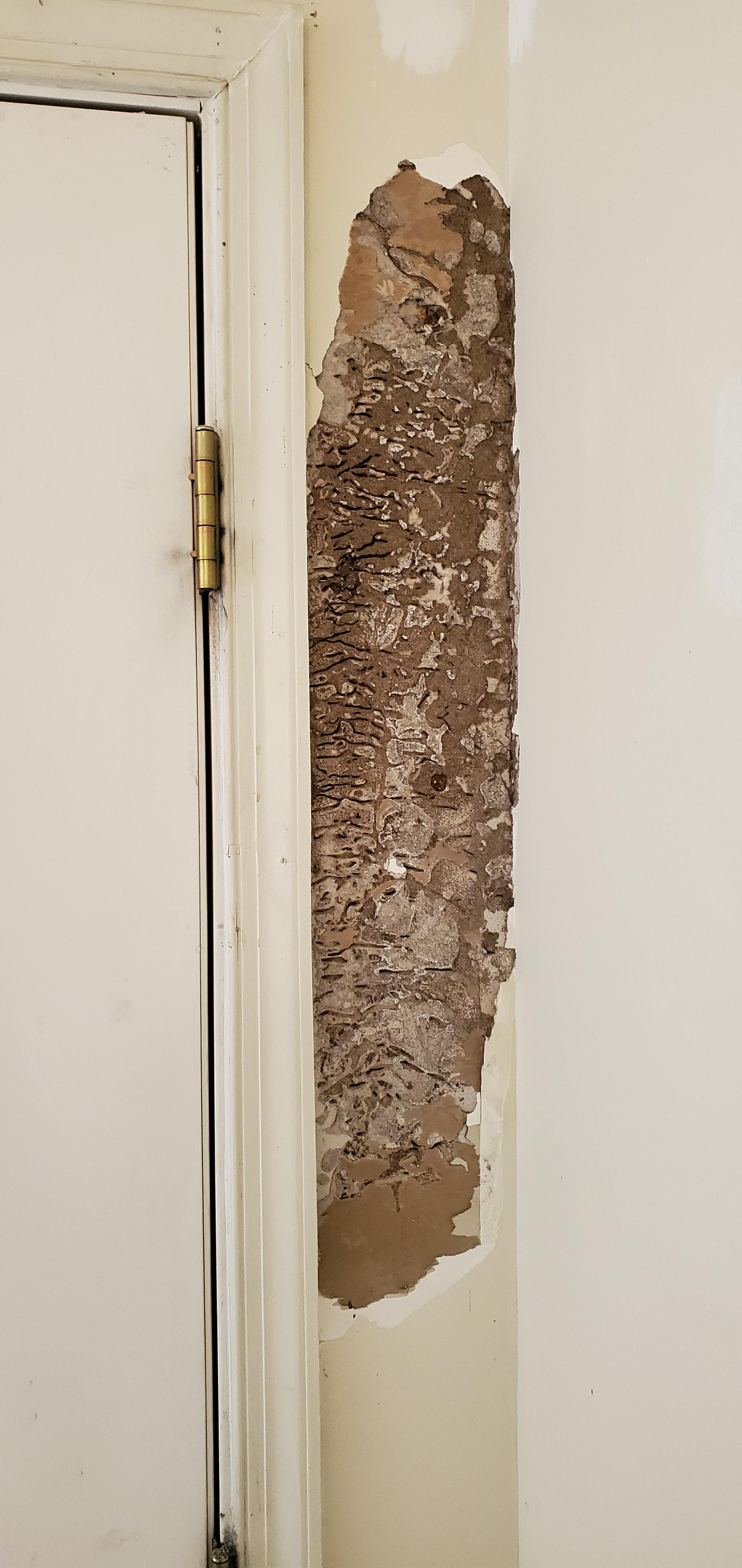 Termite Eaten Interior Paneling [] ROSS BUILDING STORE