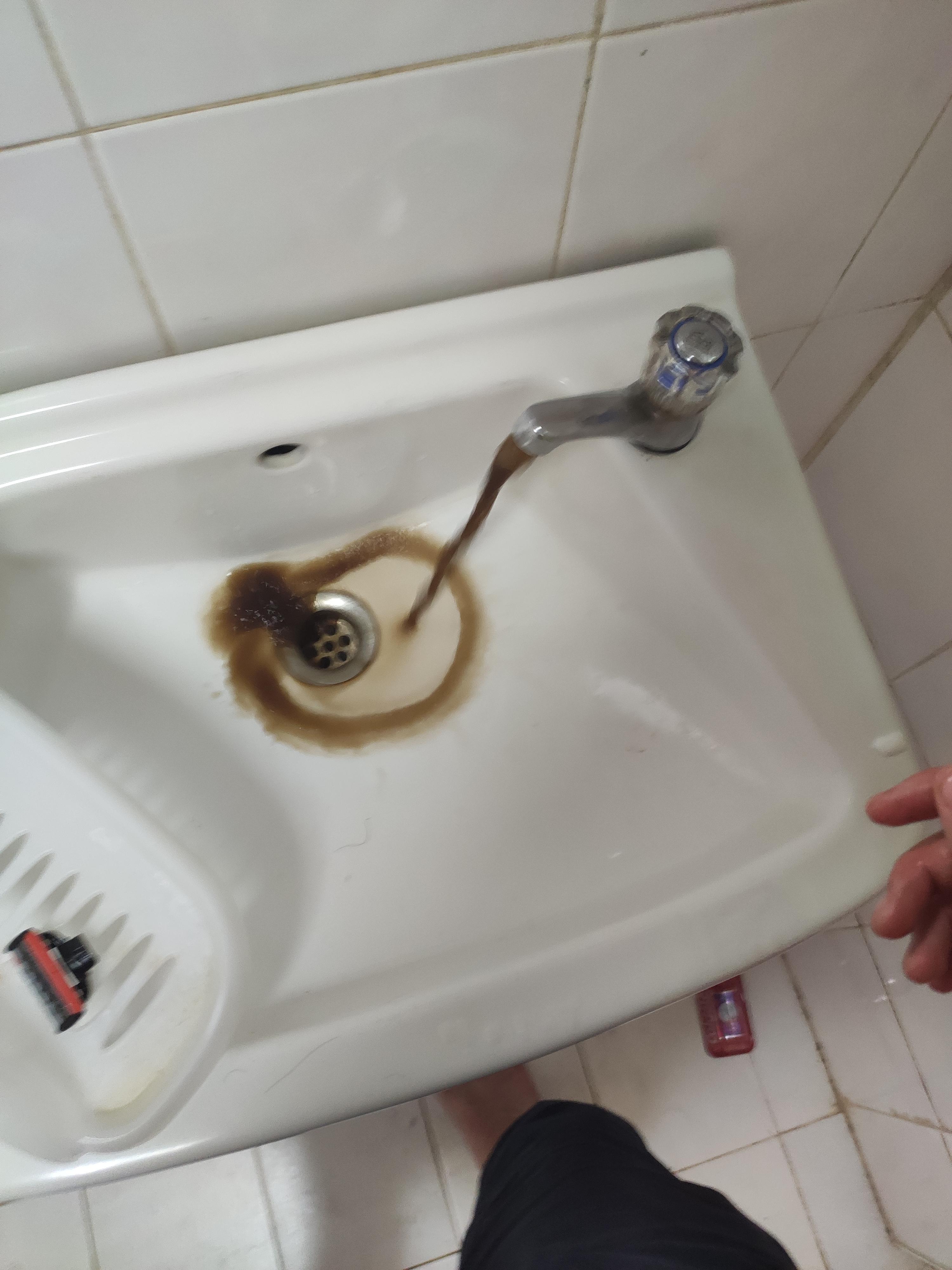 The water coming out of my apartments tap r/mildlyinfuriating