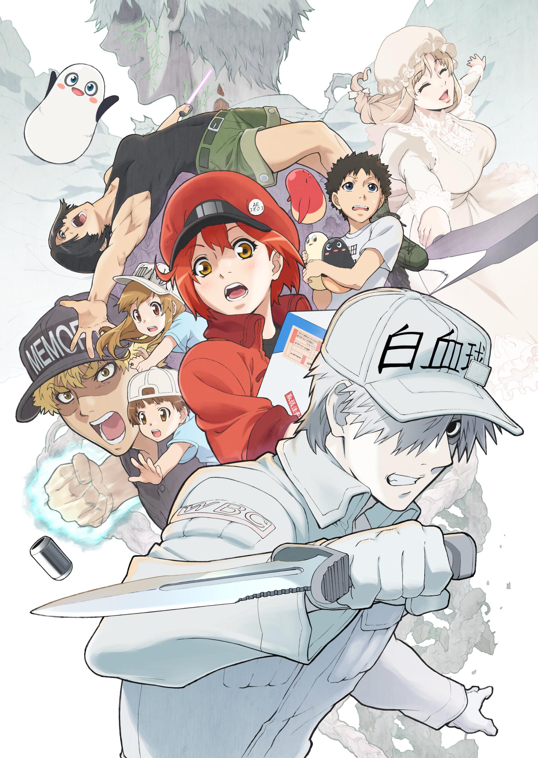 Hataraku Saibou Season 2 Wallpaper Clean HD CellsAtWork