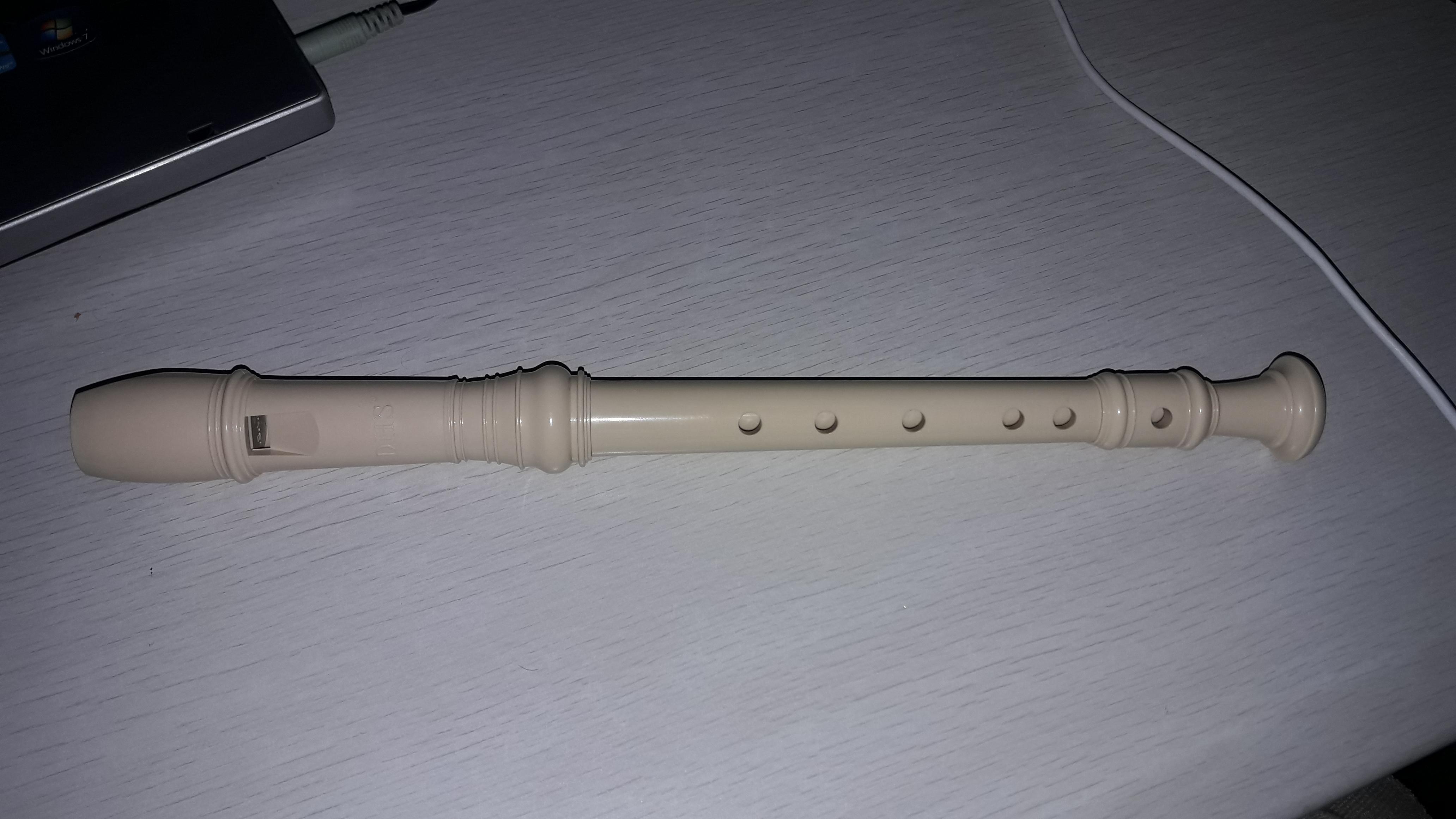 I bought this thing , i thought it was a flute but i looked online amd