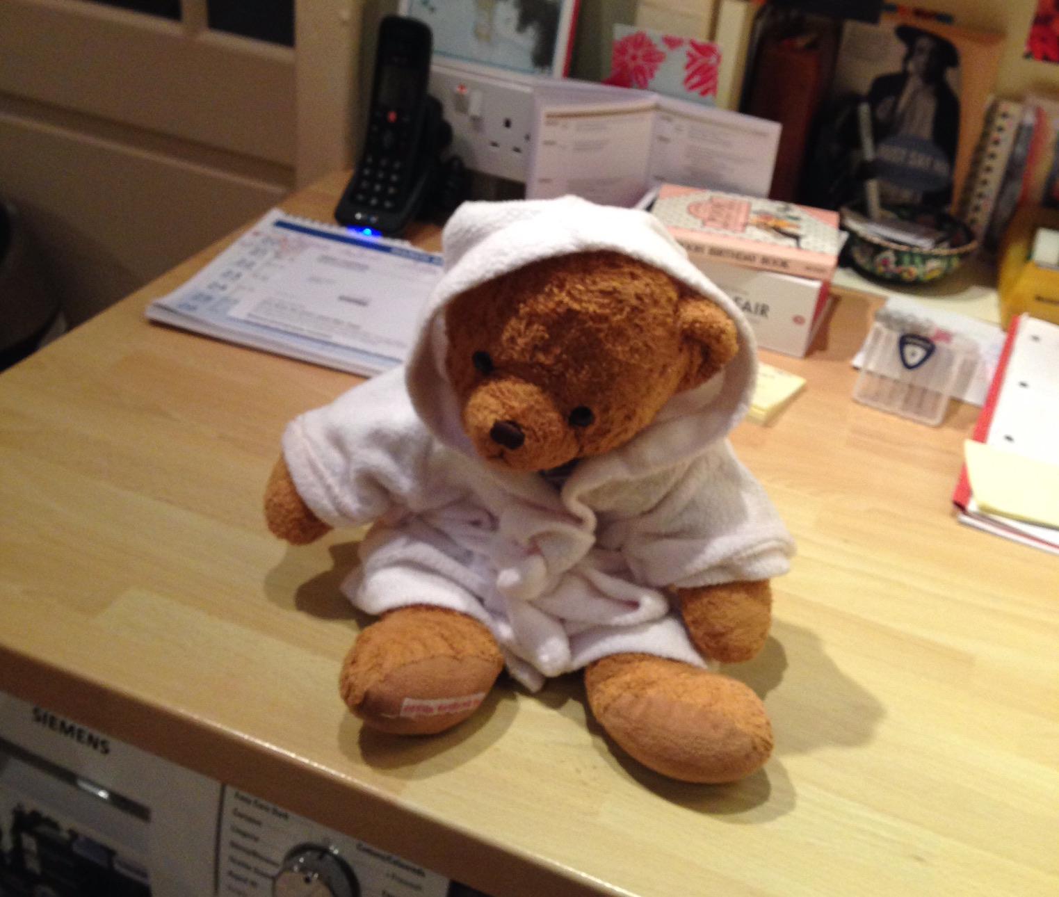 LOST! Teddy Bear lost at Tesco Metro Knowle Car Park! Anyone able to