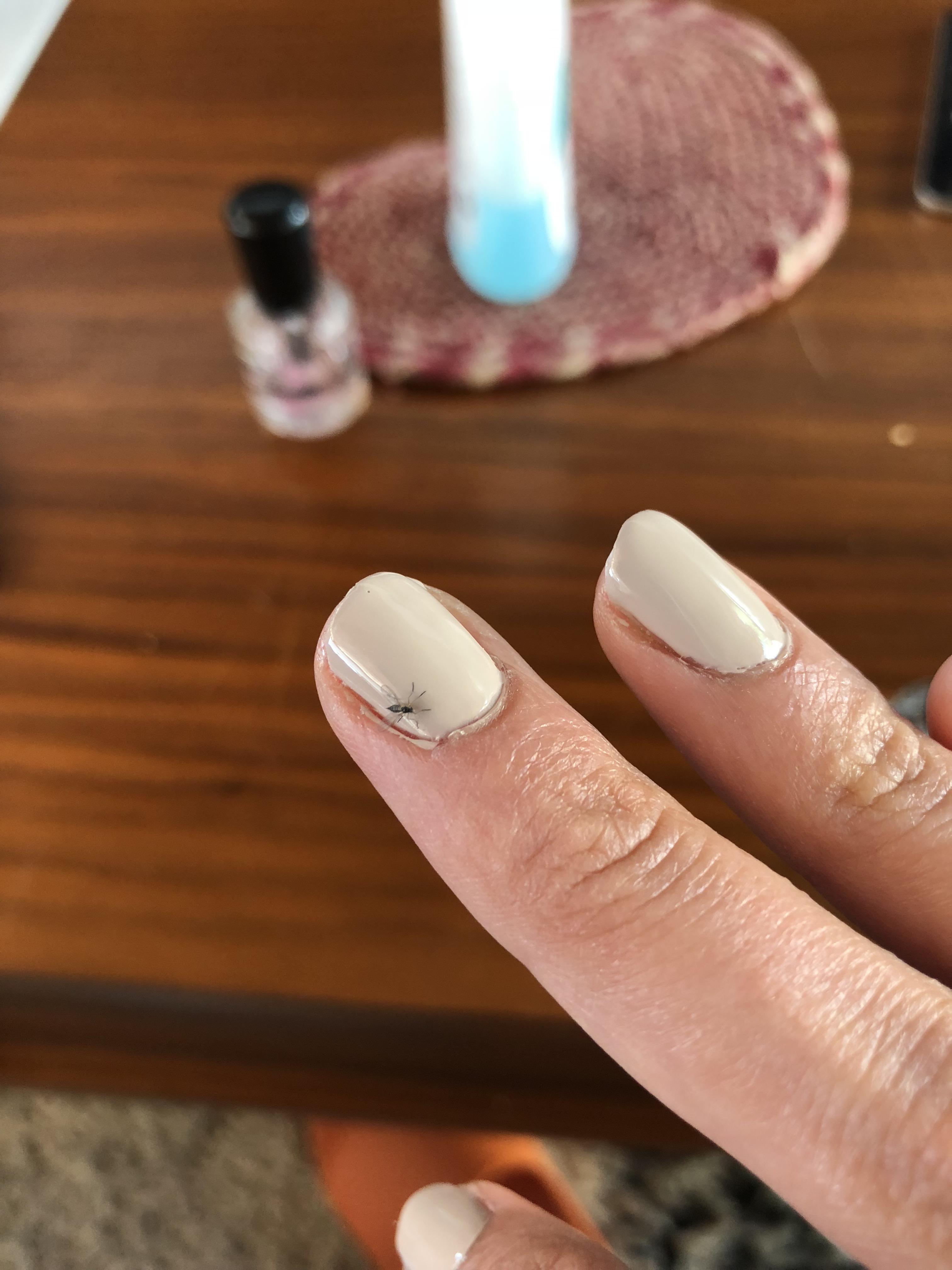 A bug stuck to my freshly painted nails r/mildlyinfuriating