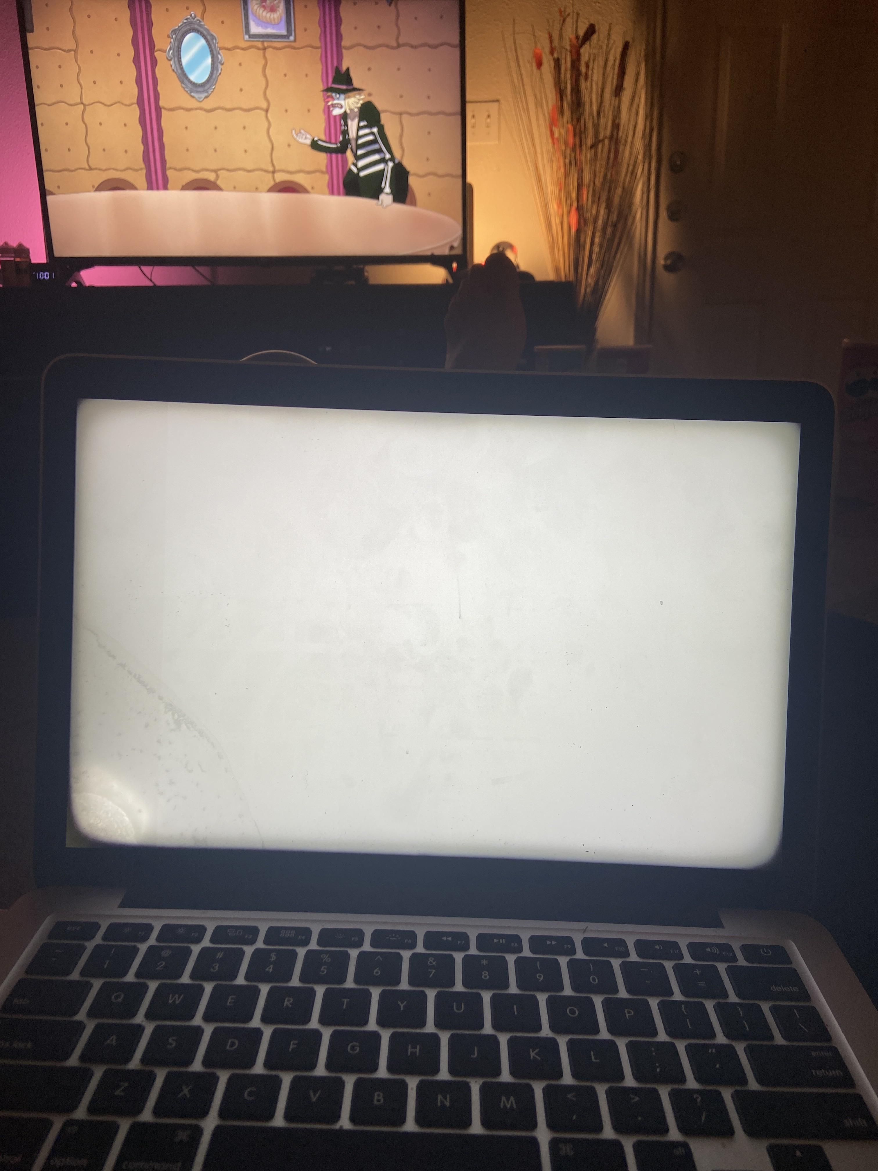 MacBook Pro white screen r/applehelp