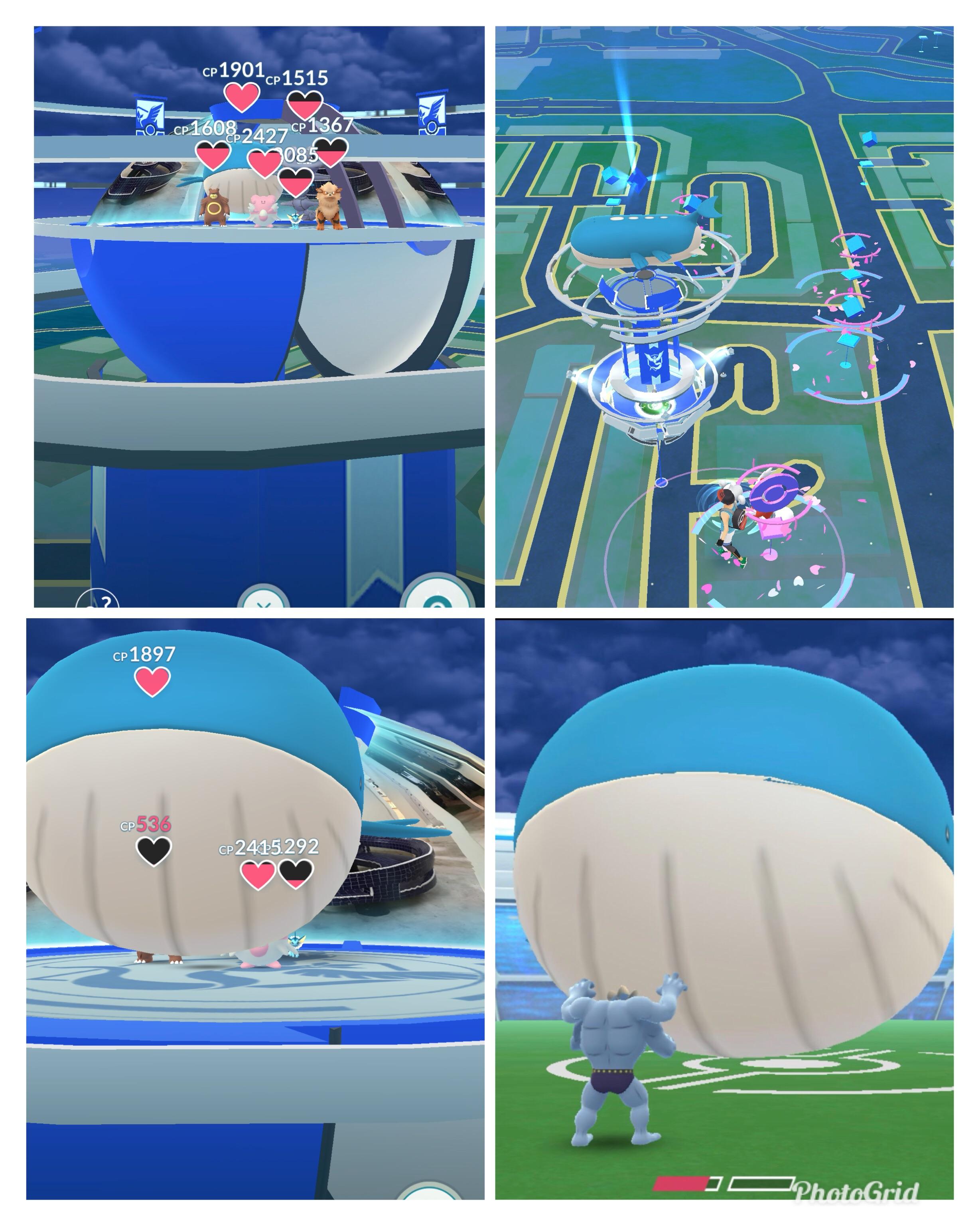 160 best Wailord images on Pholder Pokemongo, The Silph Road and